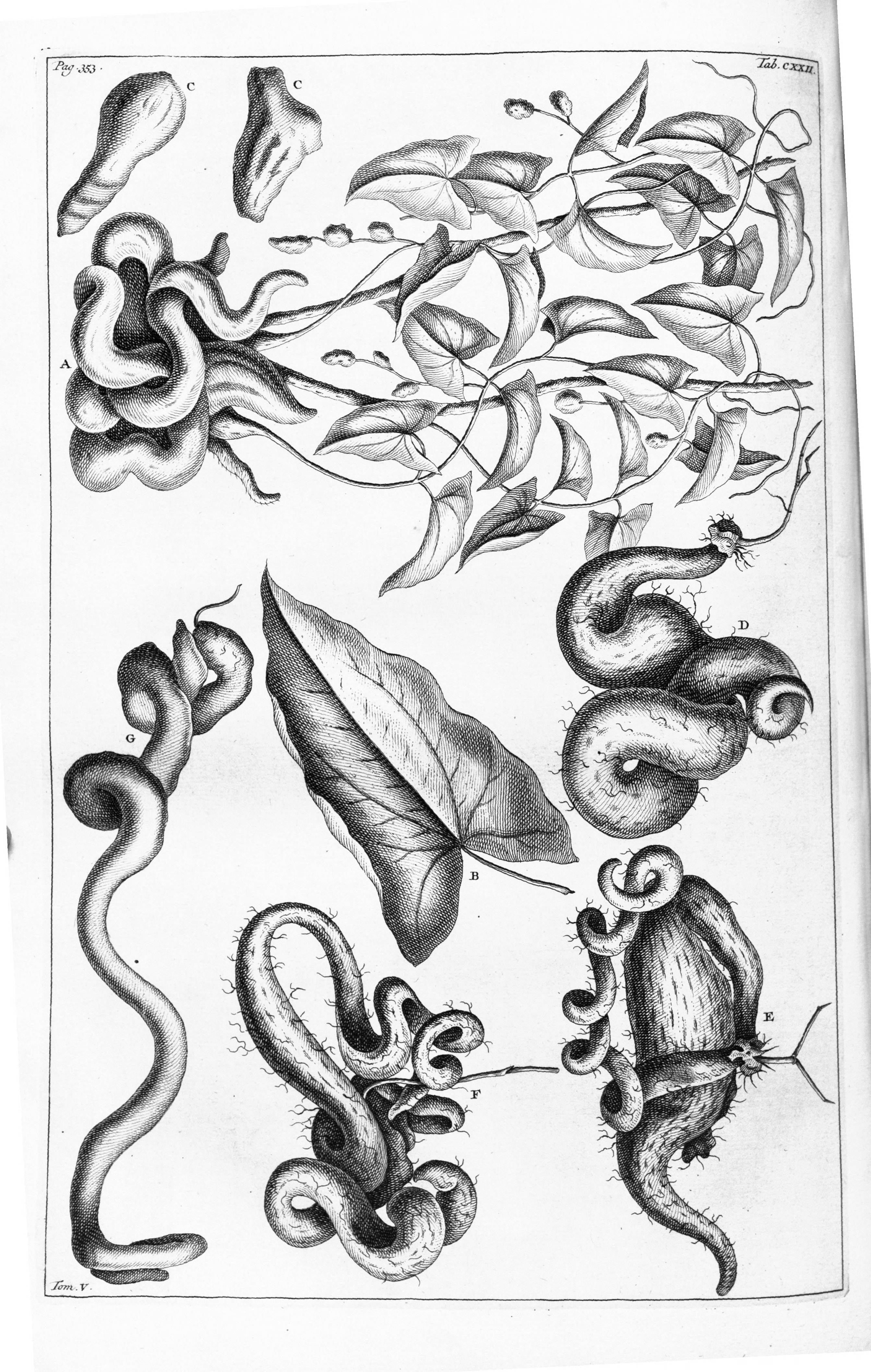 no full size  illustration available (3a)