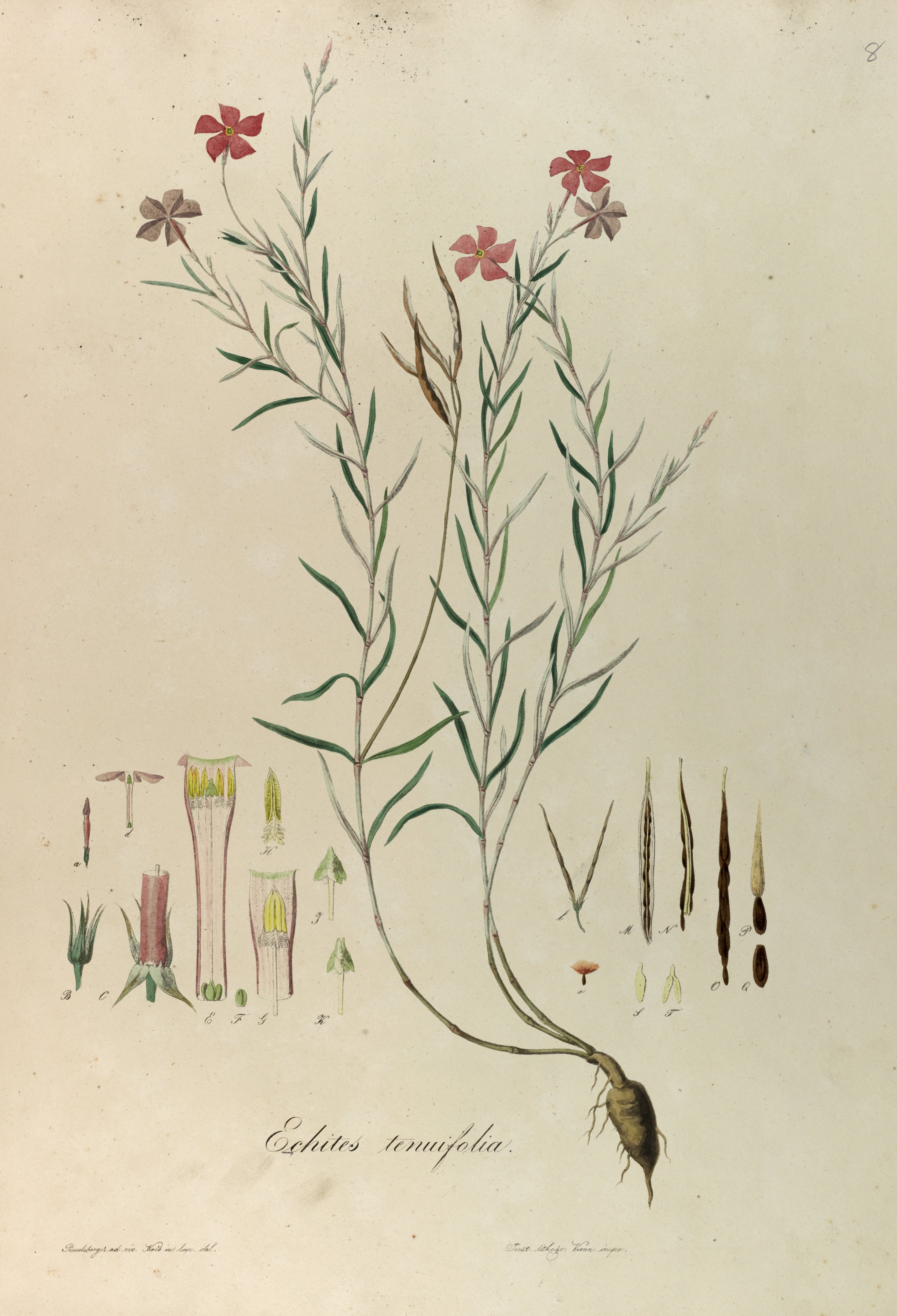 no full size  illustration available (3a)