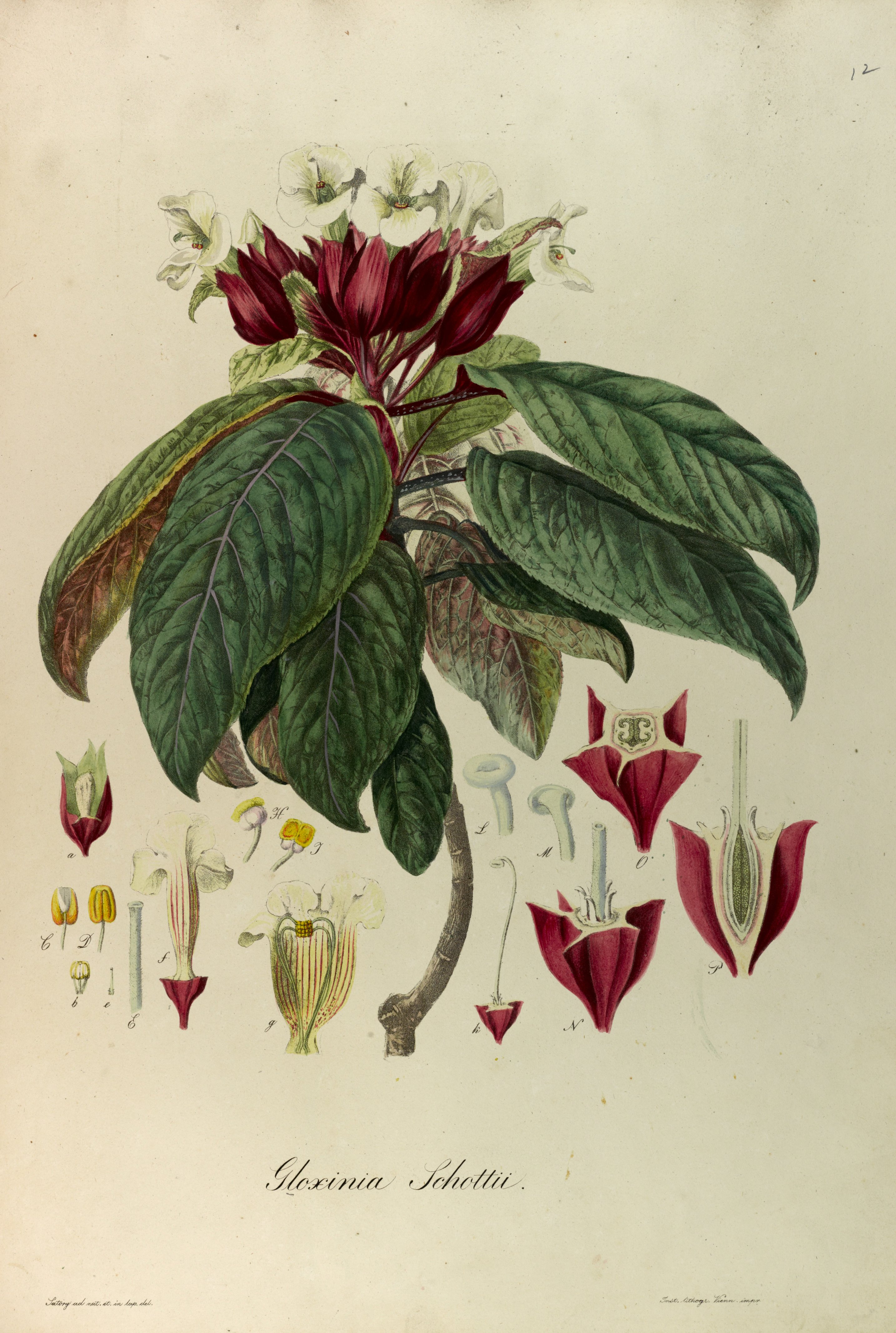 no full size  illustration available (3a)