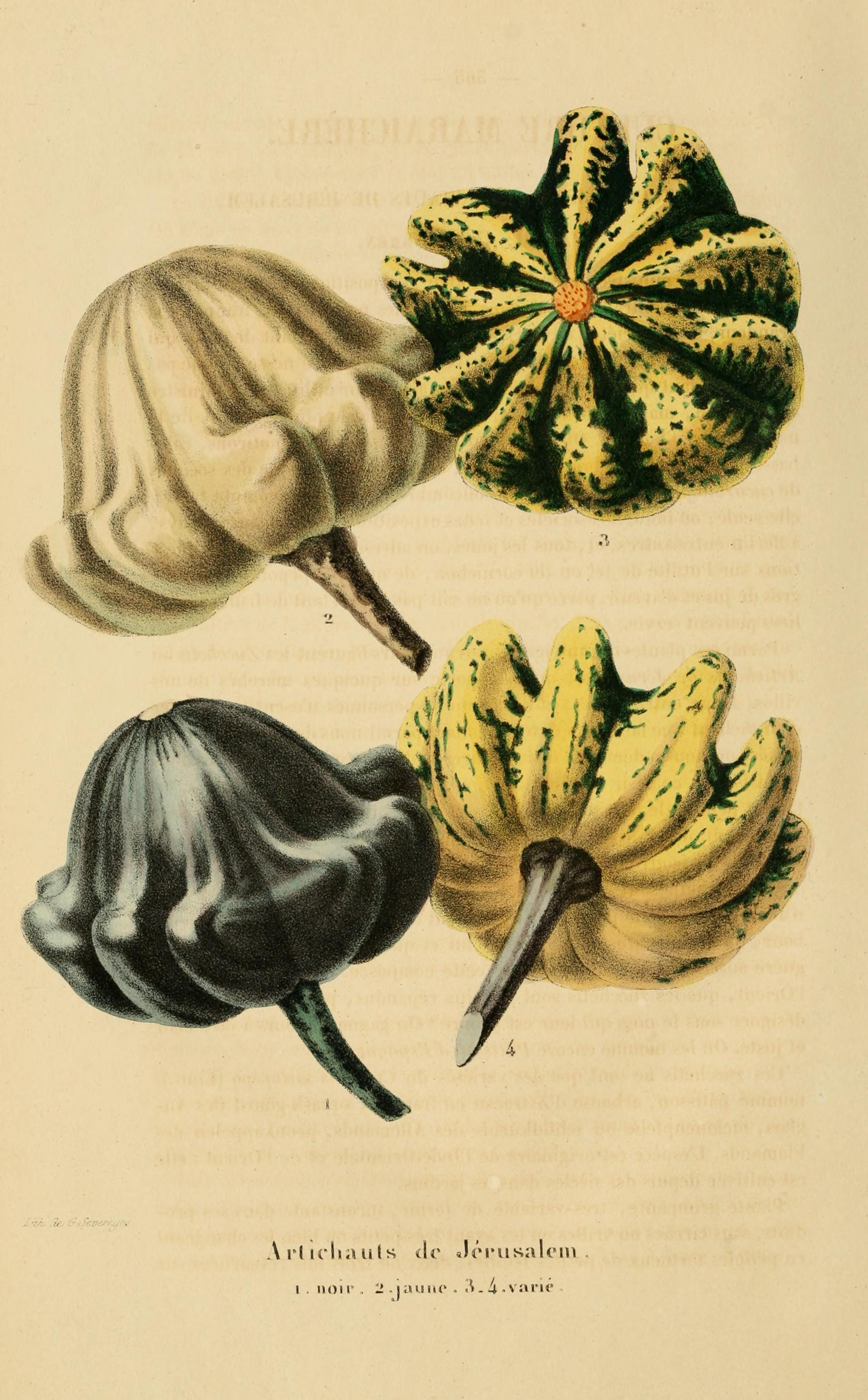 no full size  illustration available (3a)