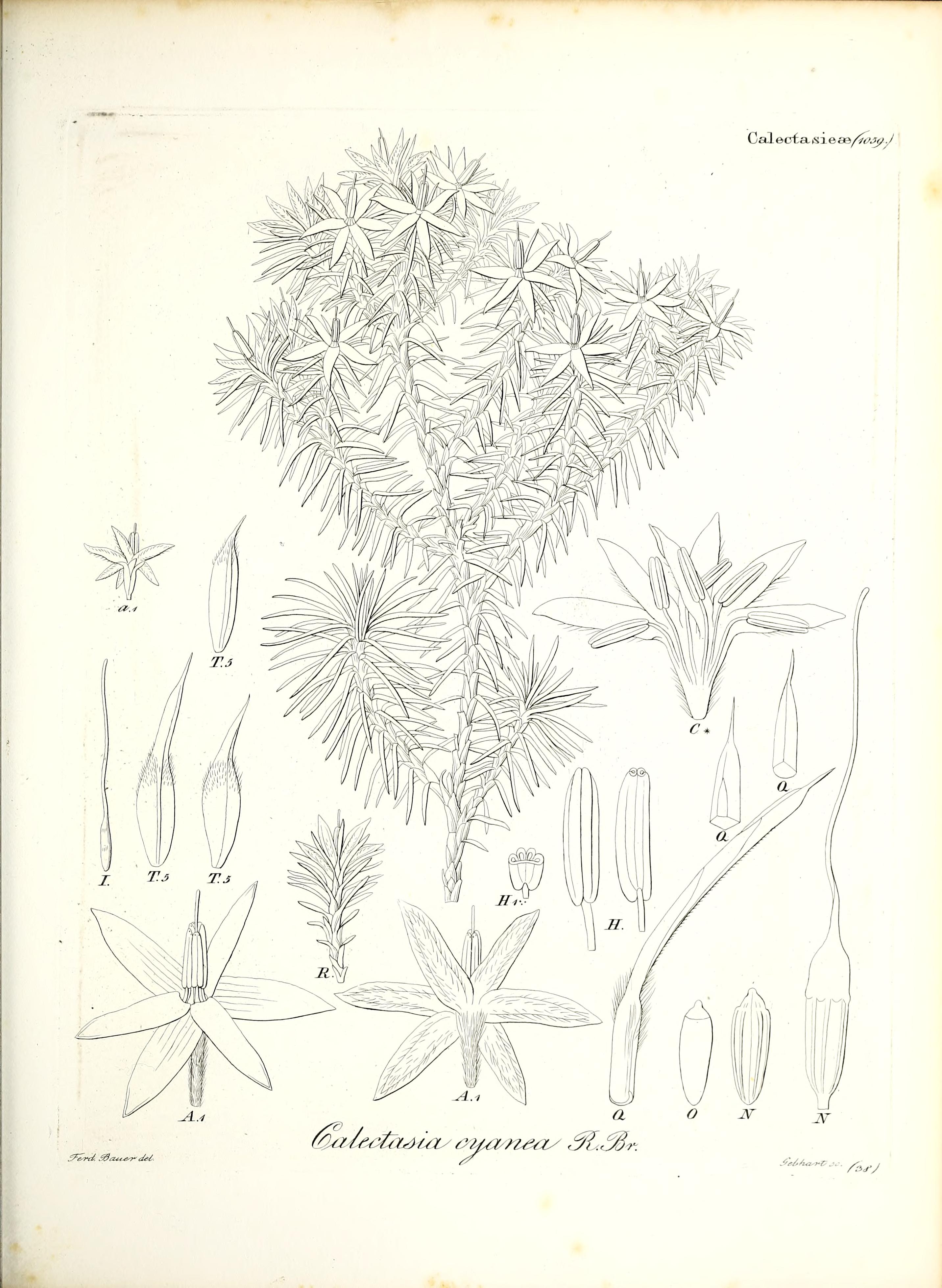 no full size  illustration available (3a)