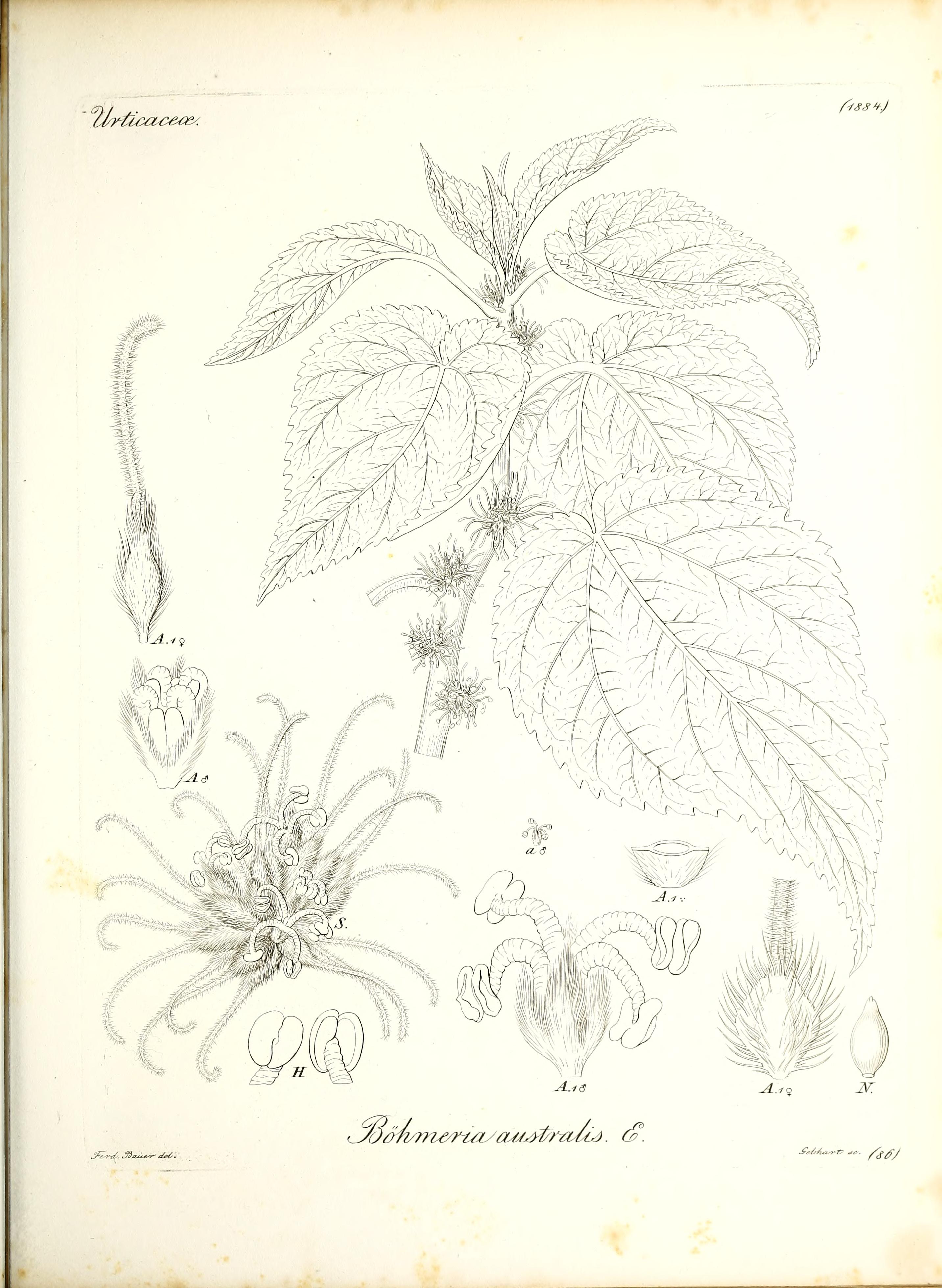 no full size  illustration available (3a)