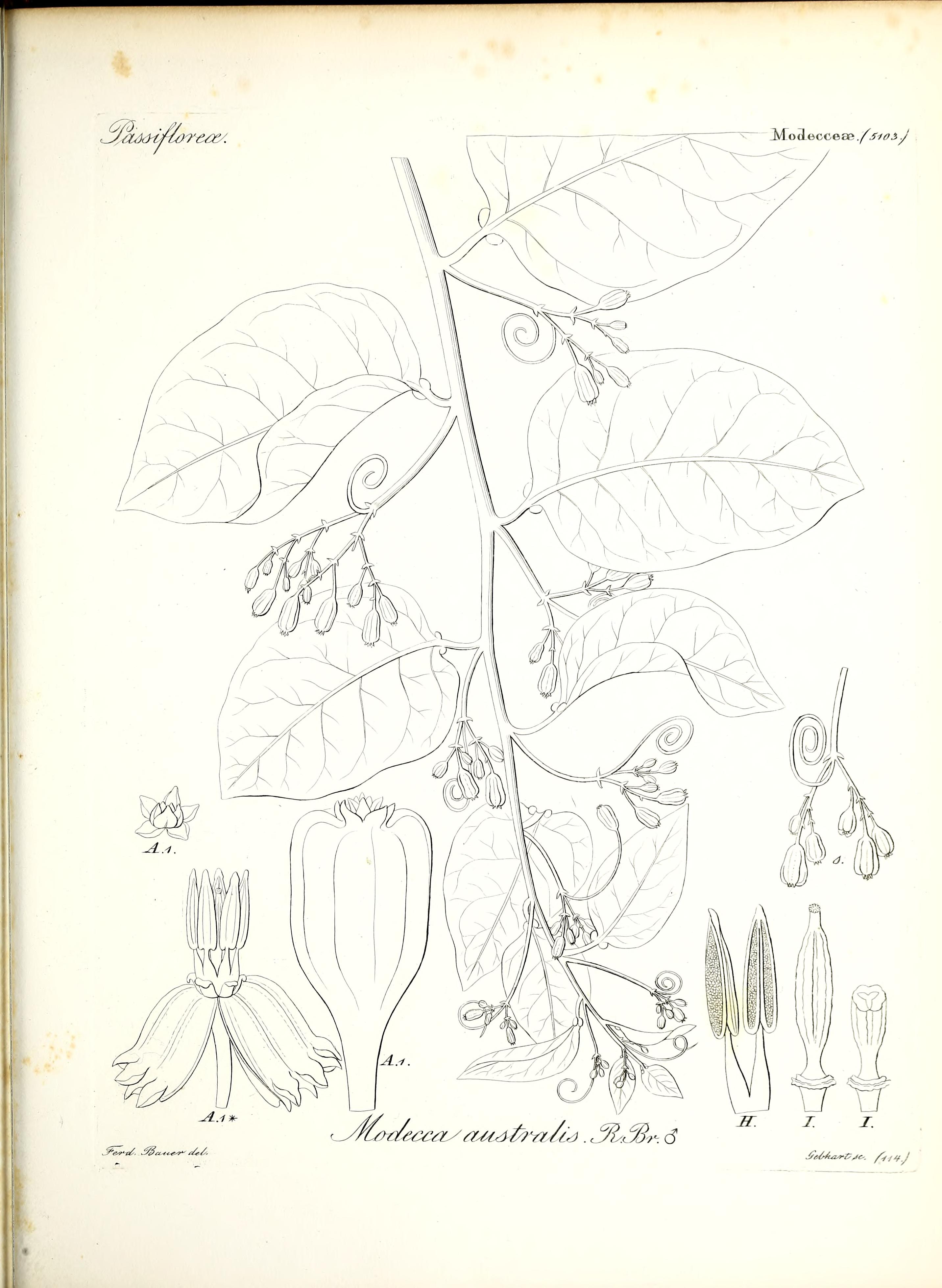 no full size  illustration available (3a)