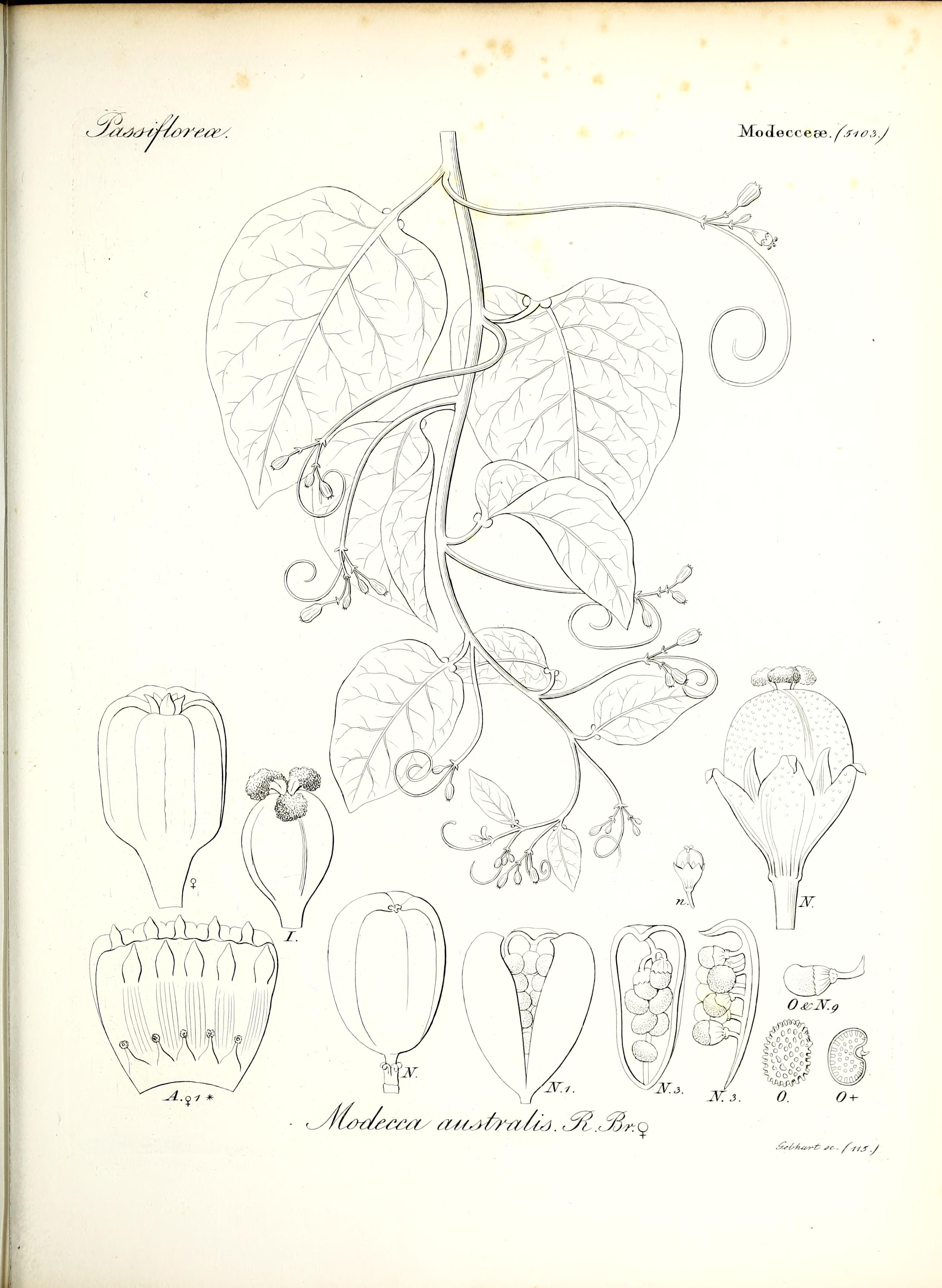 no full size  illustration available (3a)