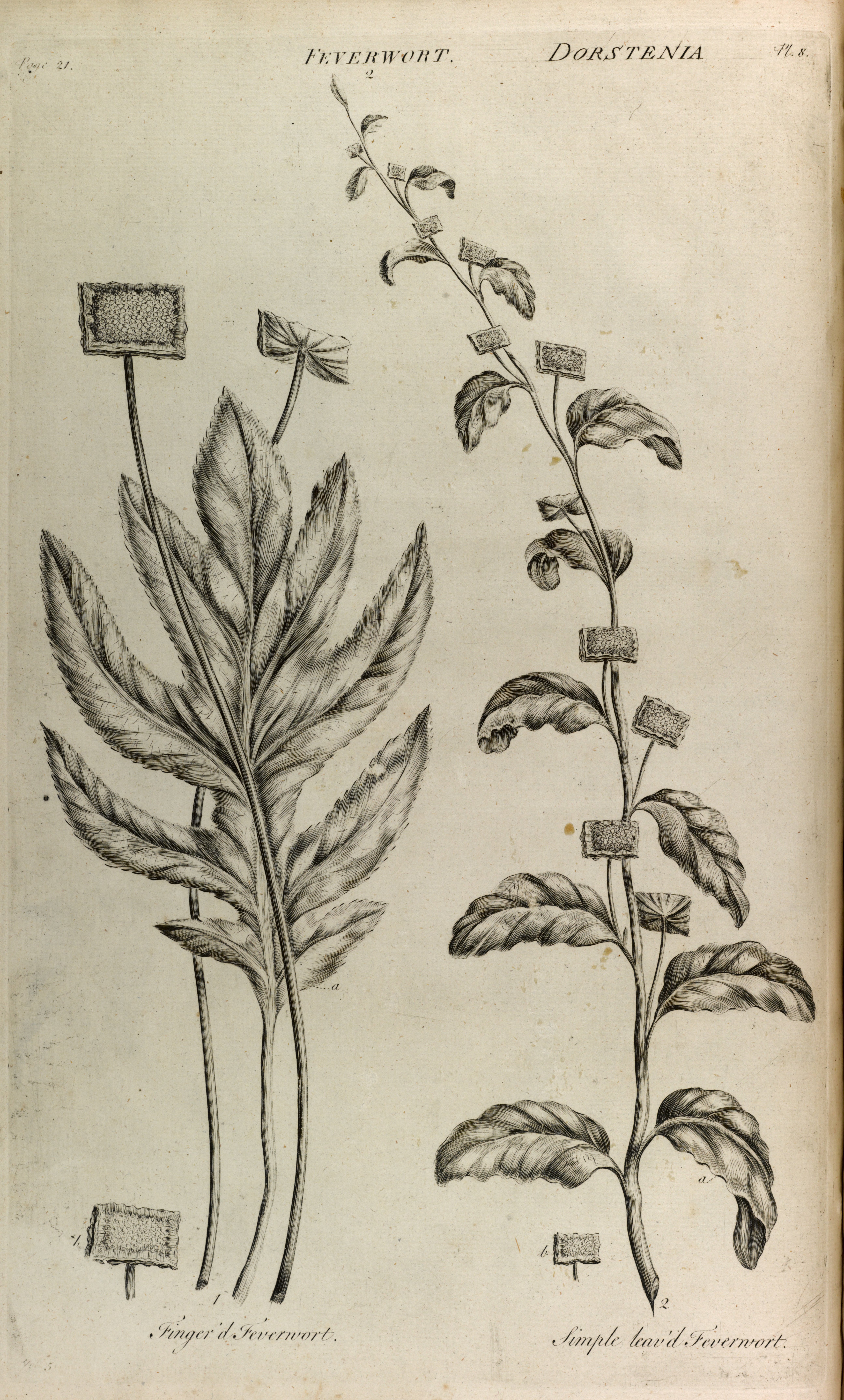 no full size  illustration available (3a)