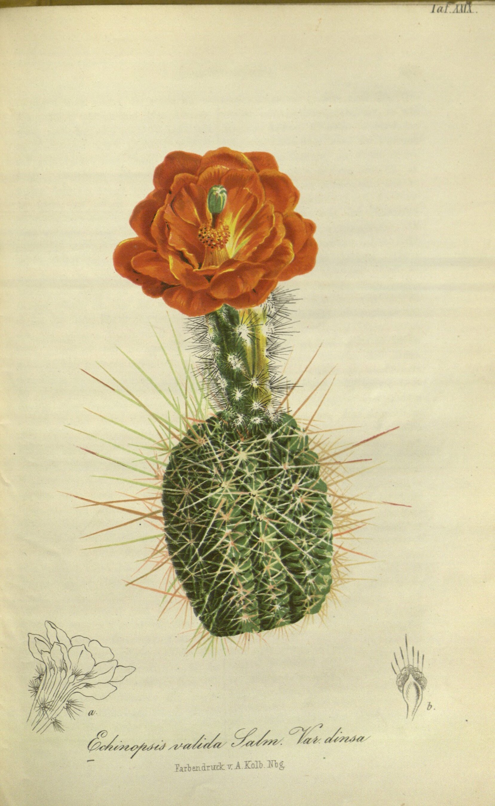 no full size  illustration available (3a)