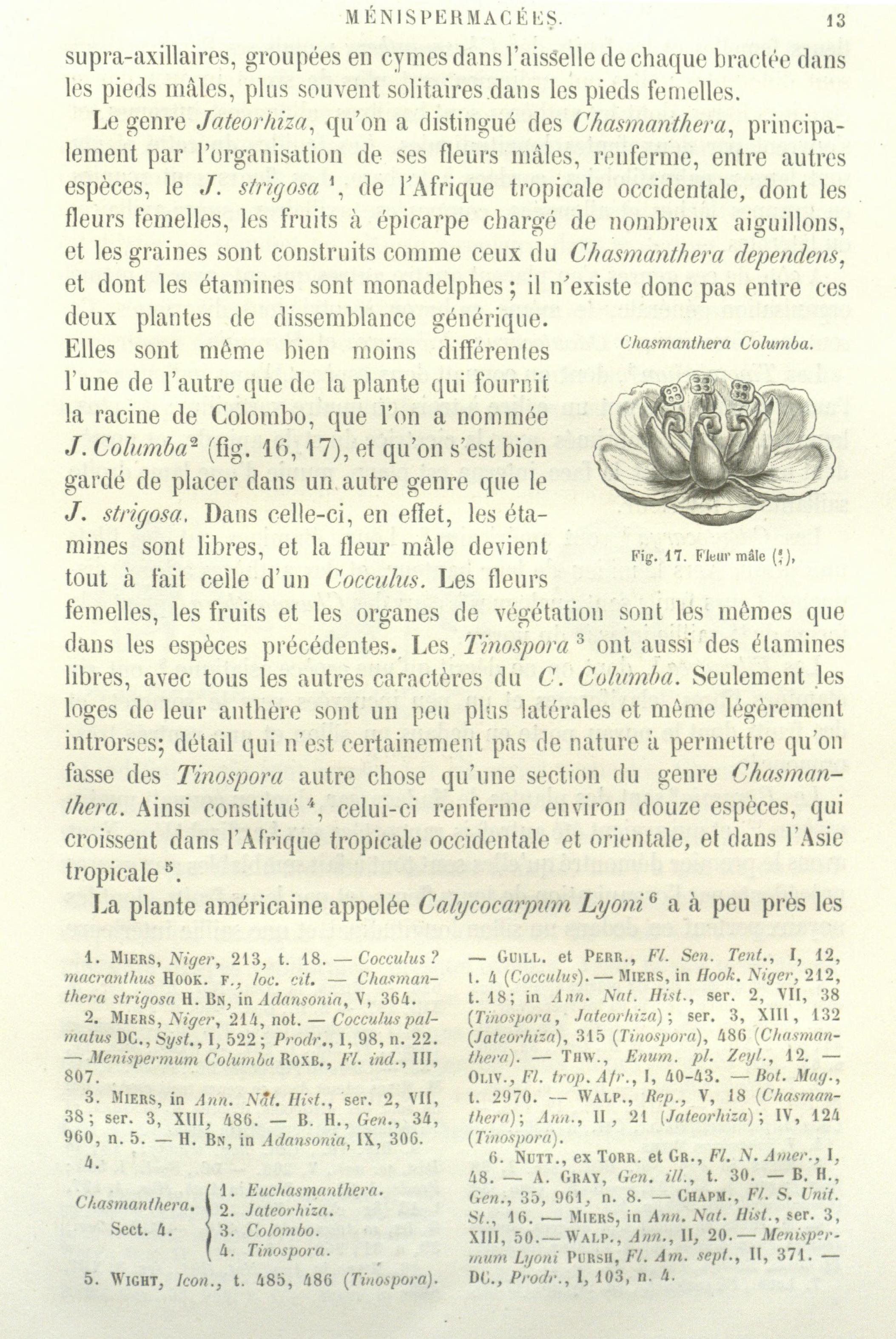 no full size  illustration available (3a)