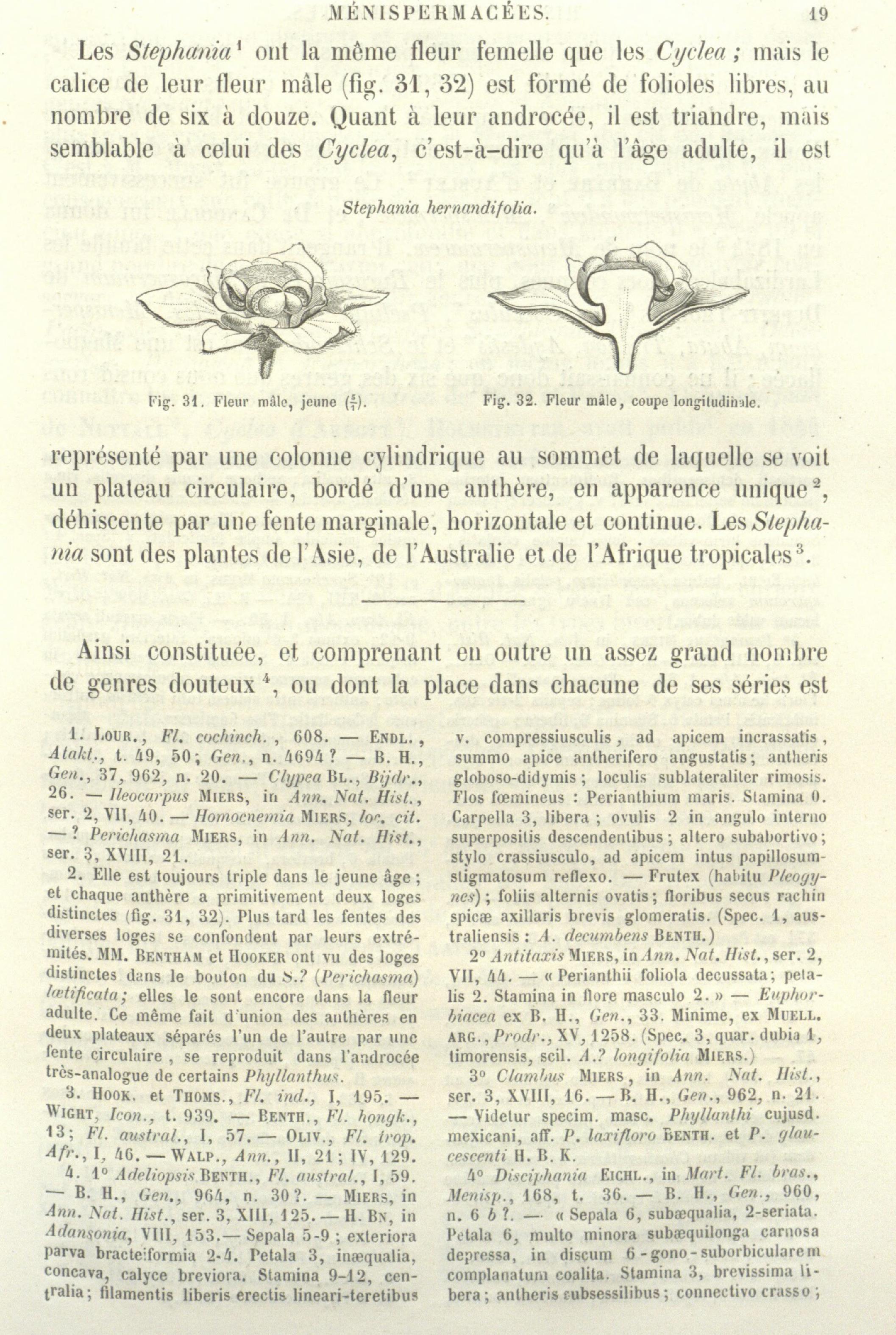 no full size  illustration available (3a)