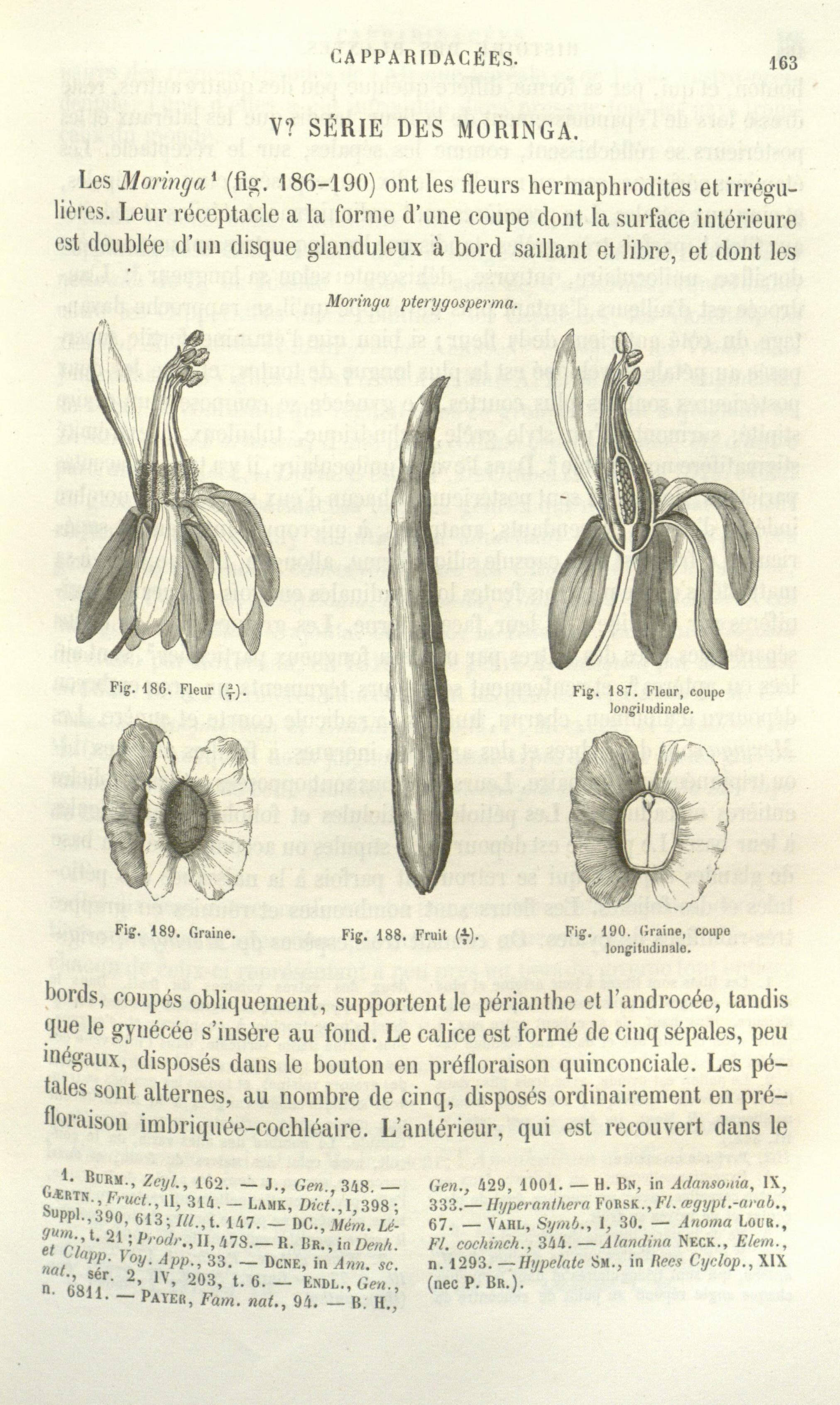 no full size  illustration available (3a)