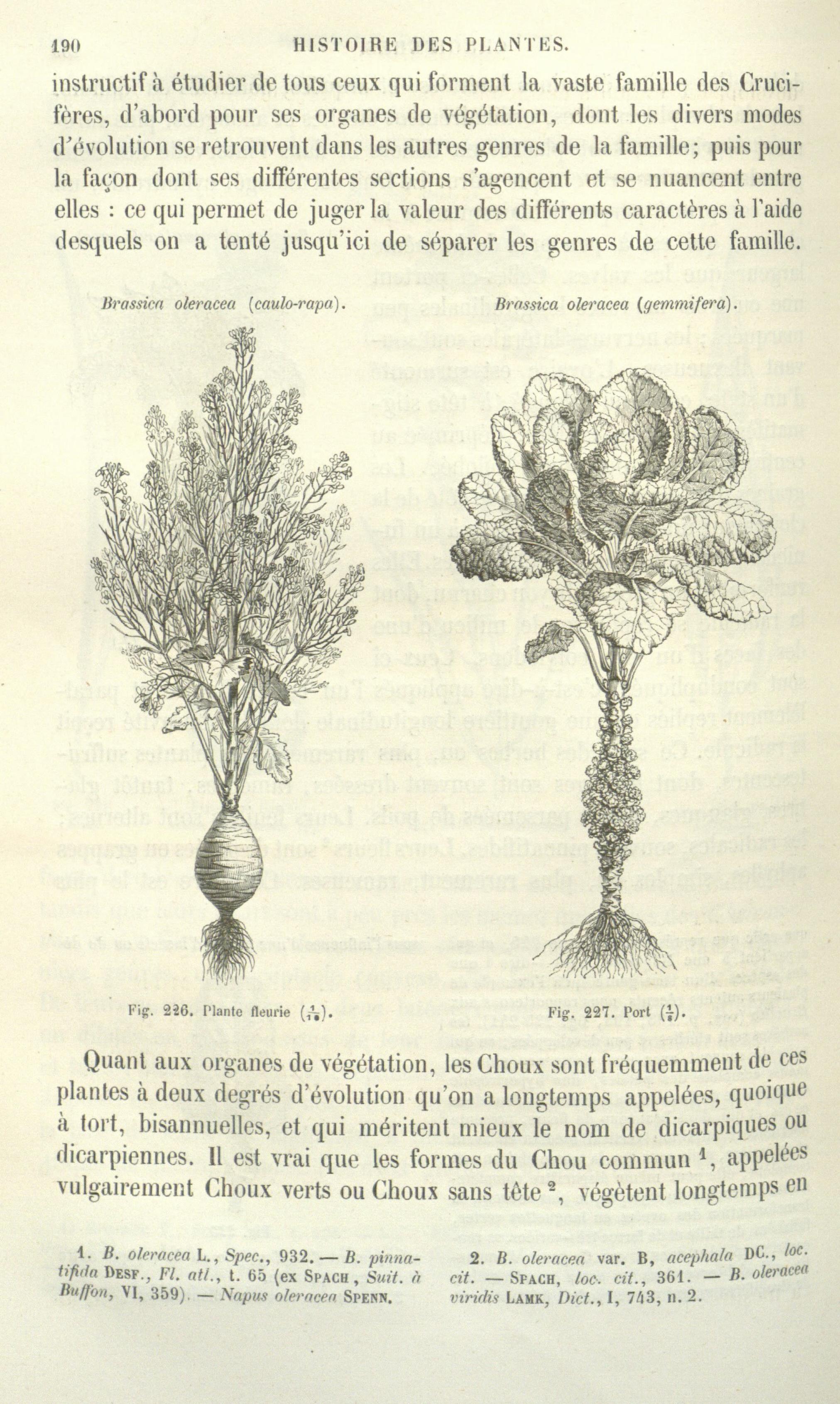 no full size  illustration available (3a)