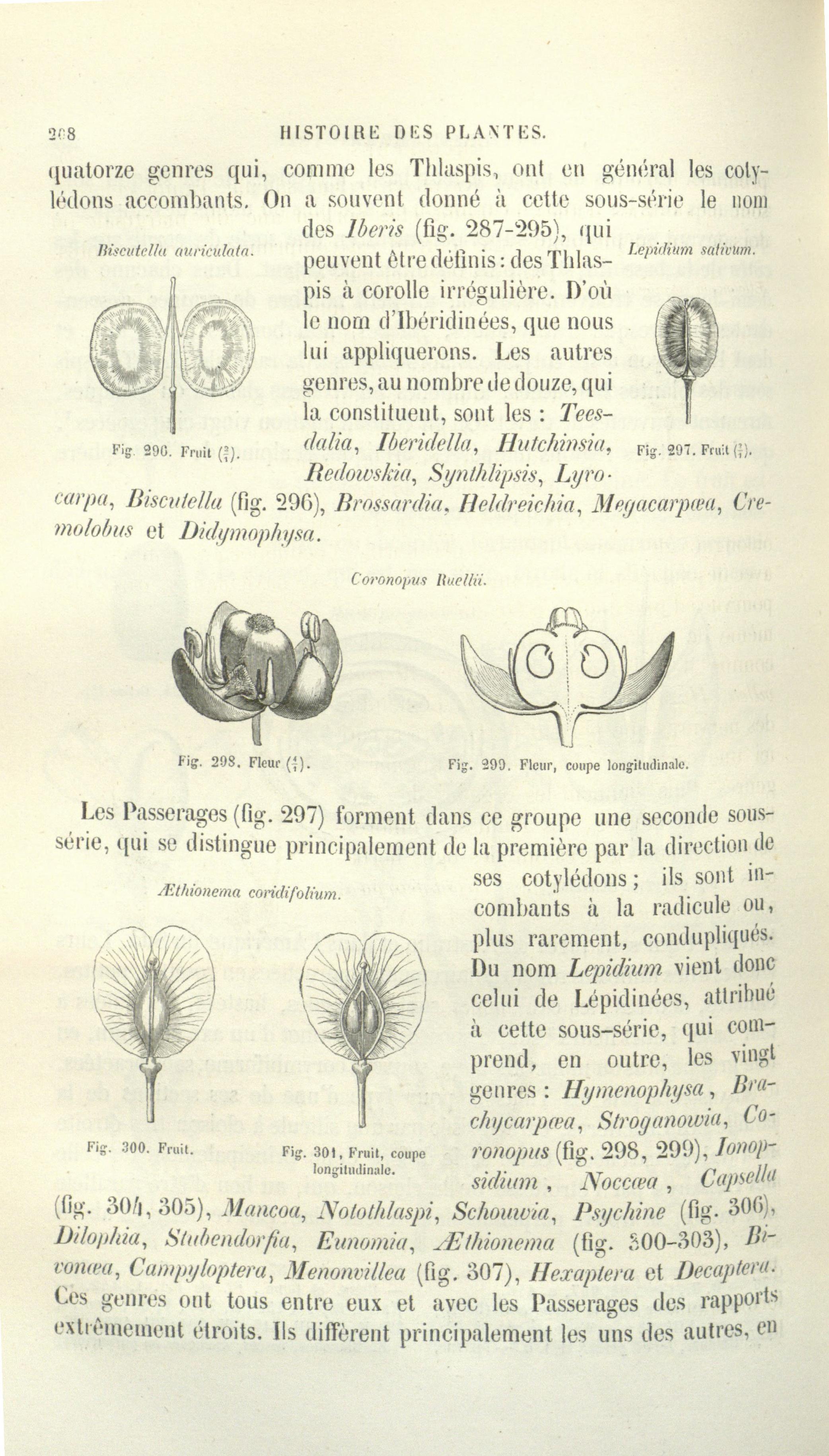 no full size  illustration available (3a)