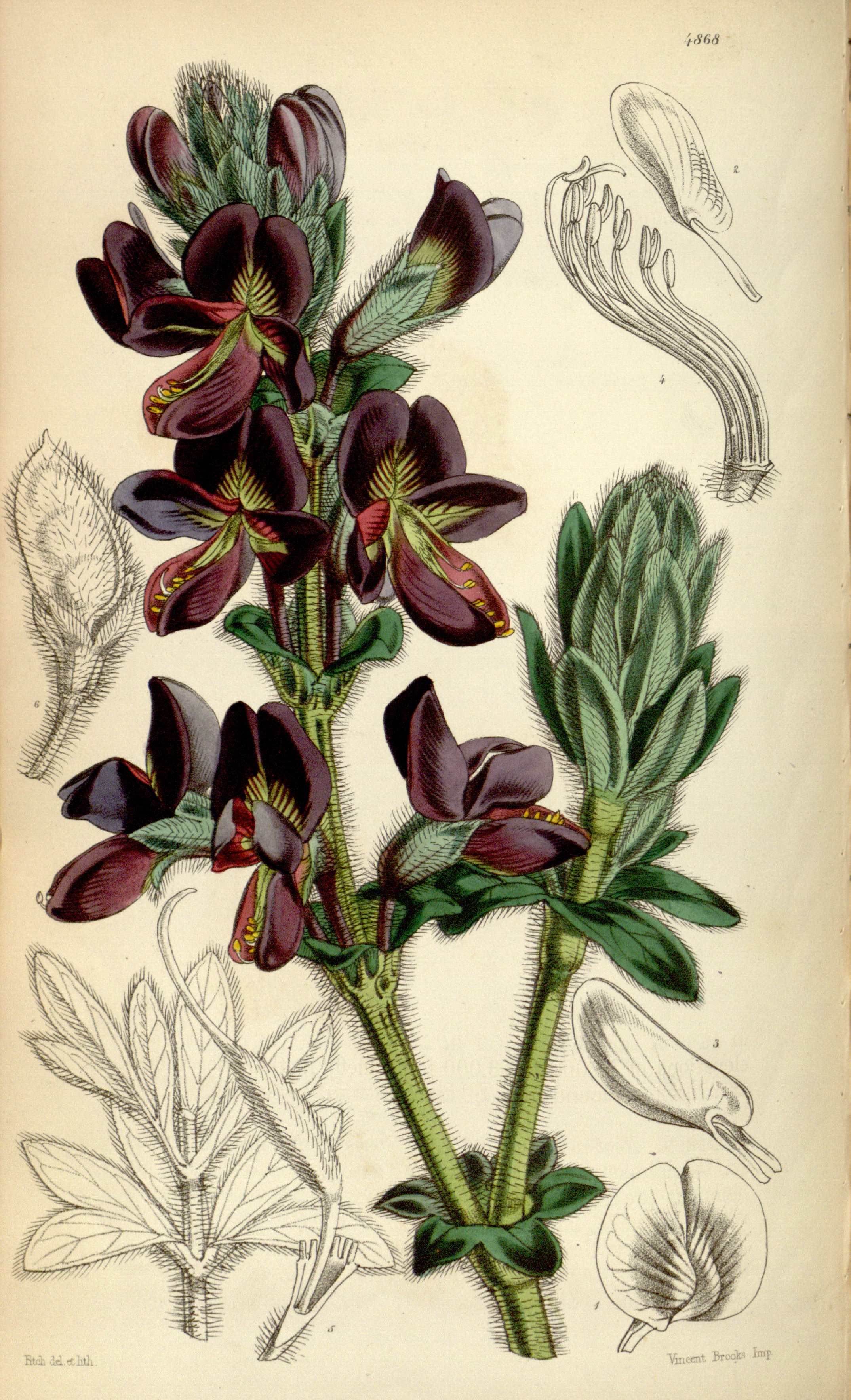 no full size  illustration available (3a)