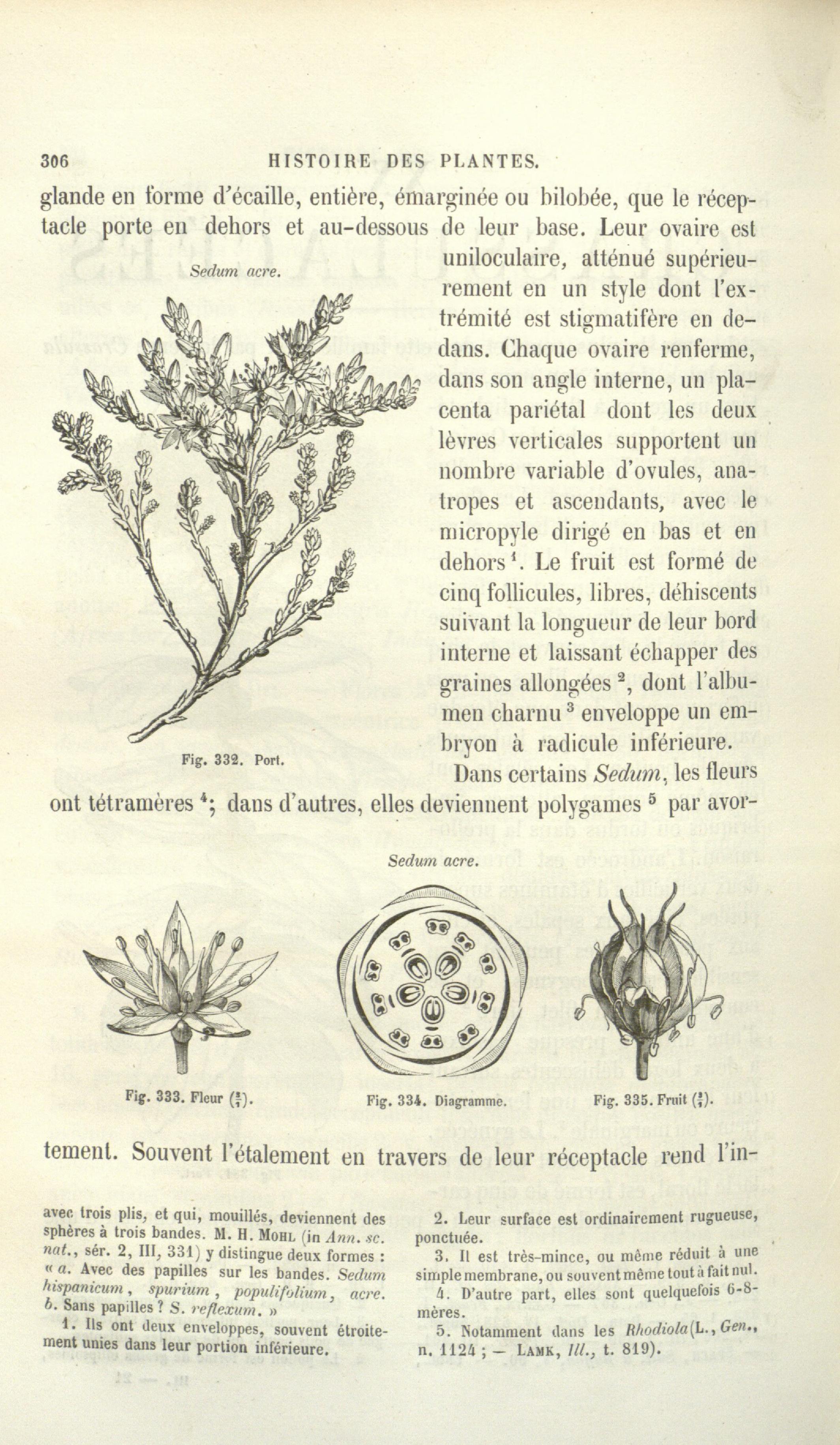 no full size  illustration available (3a)