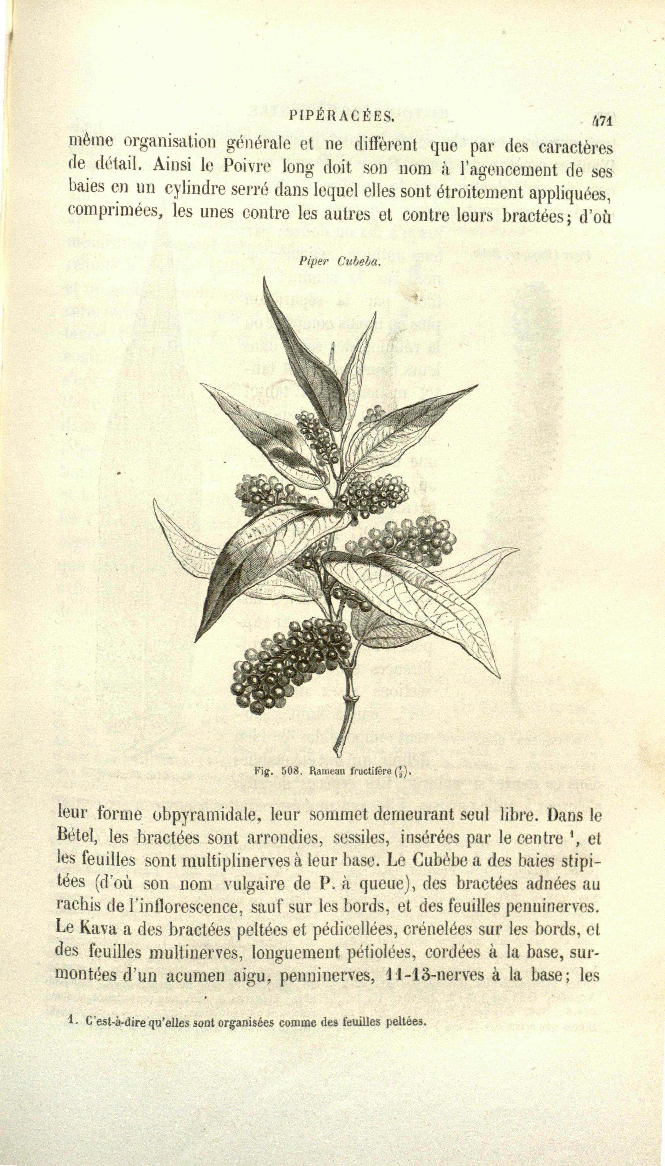 no full size  illustration available (3a)