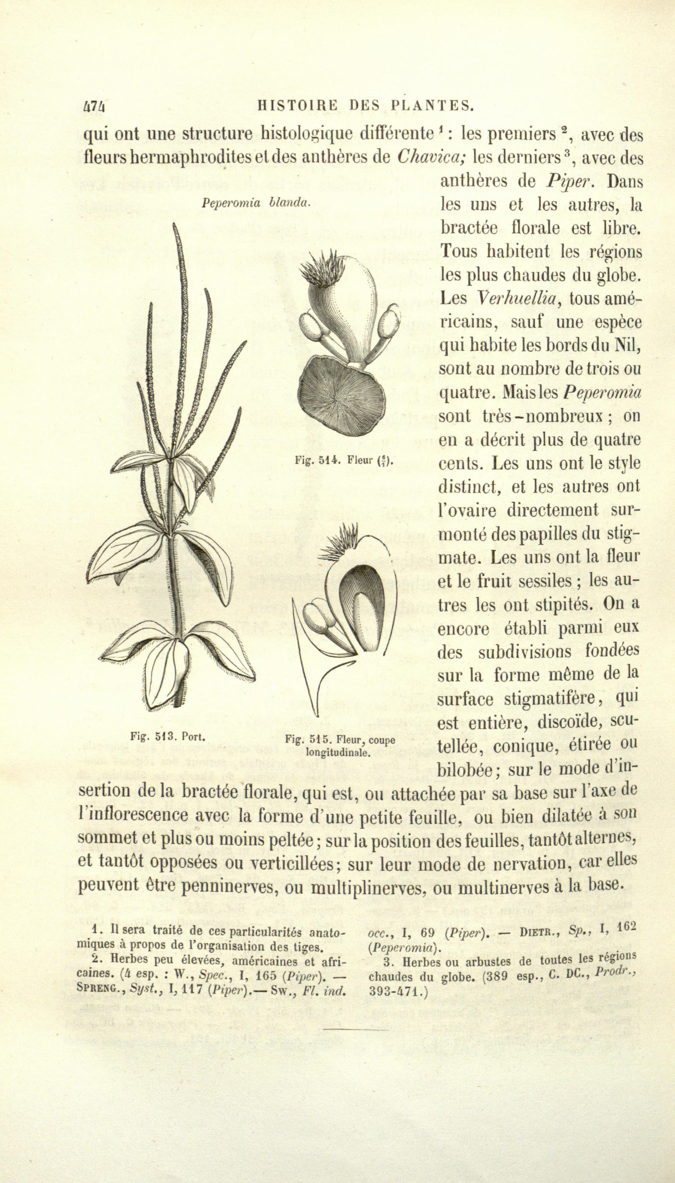 no full size  illustration available (3a)