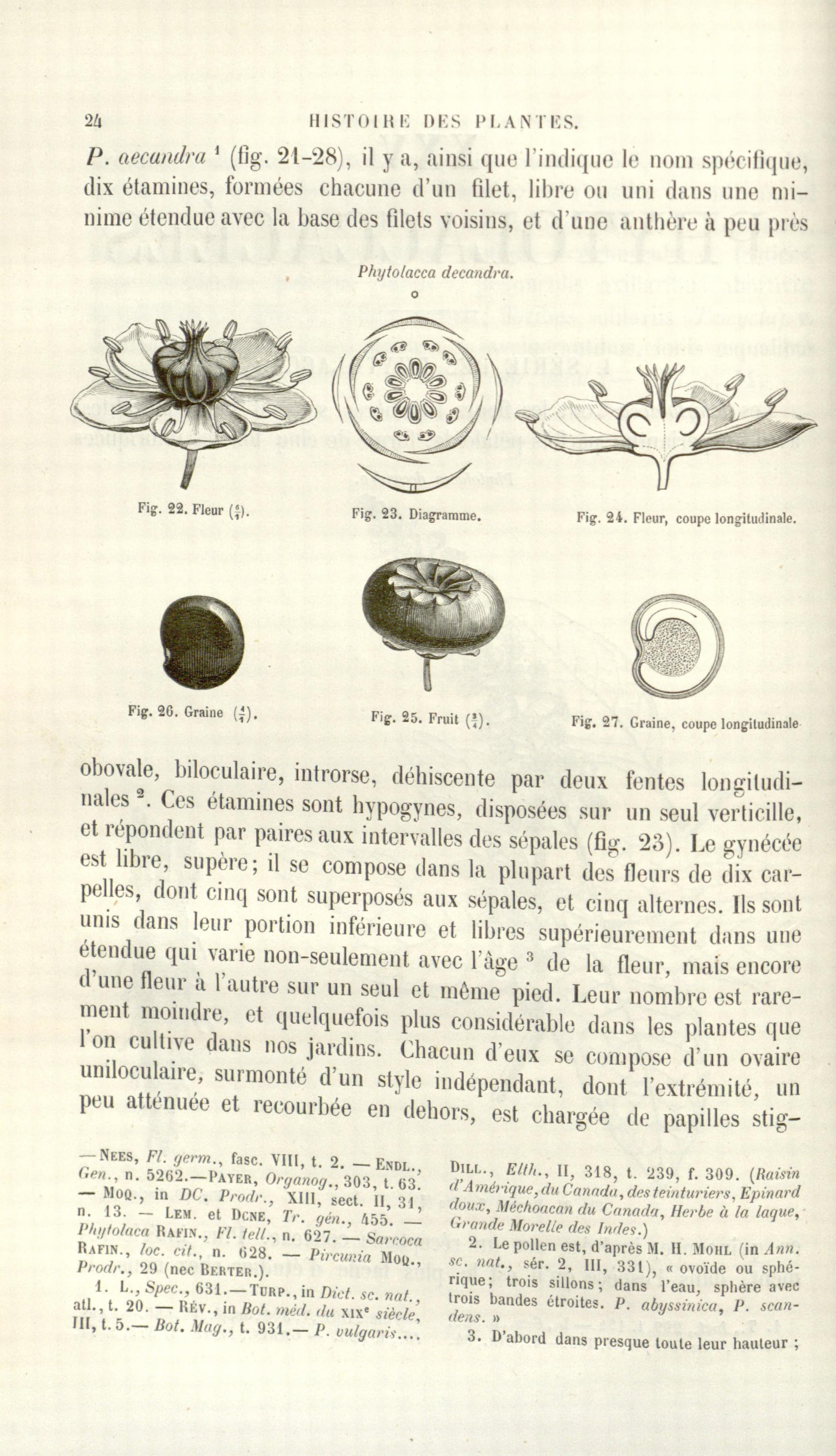 no full size  illustration available (3a)