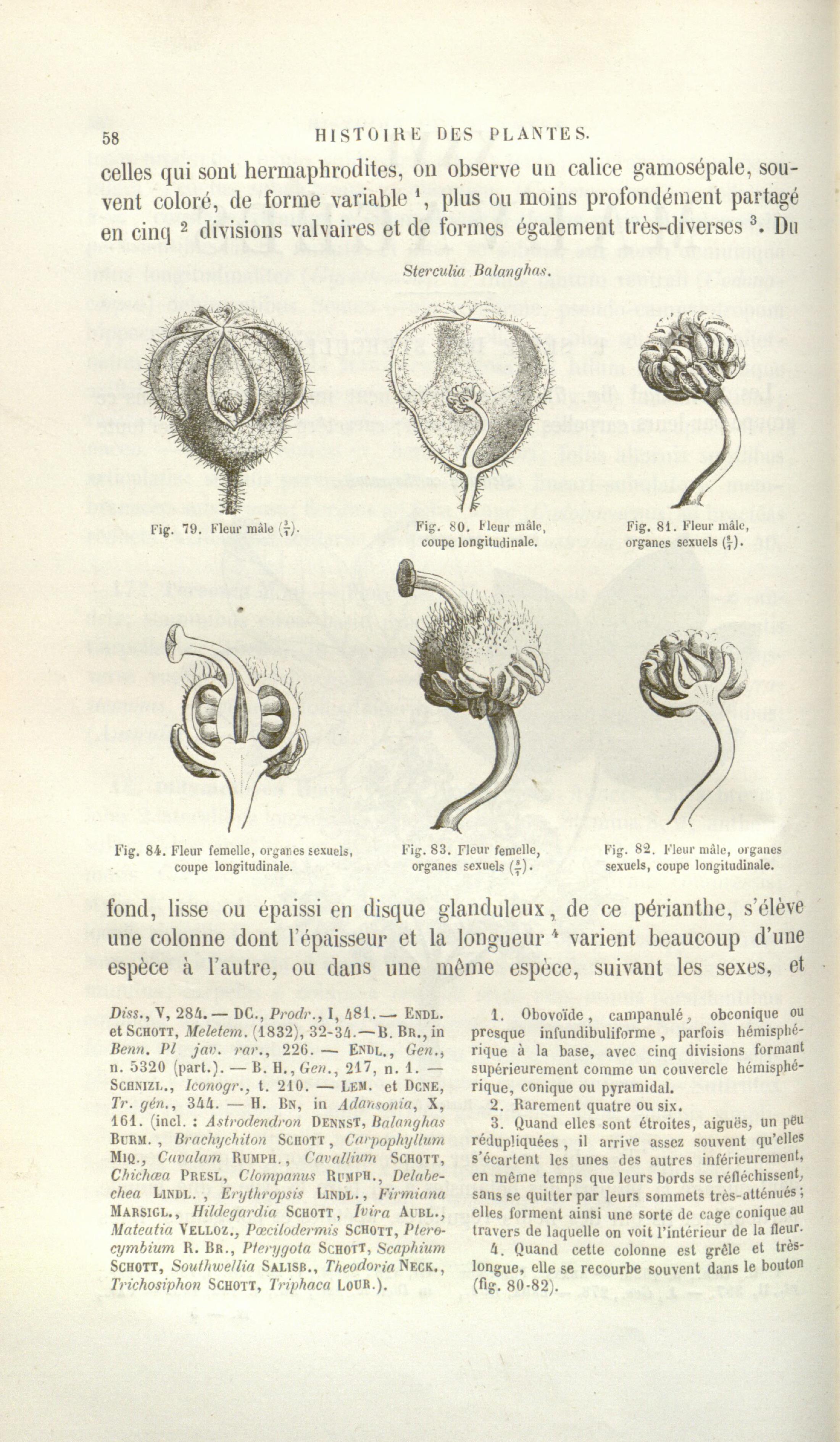 no full size  illustration available (3a)