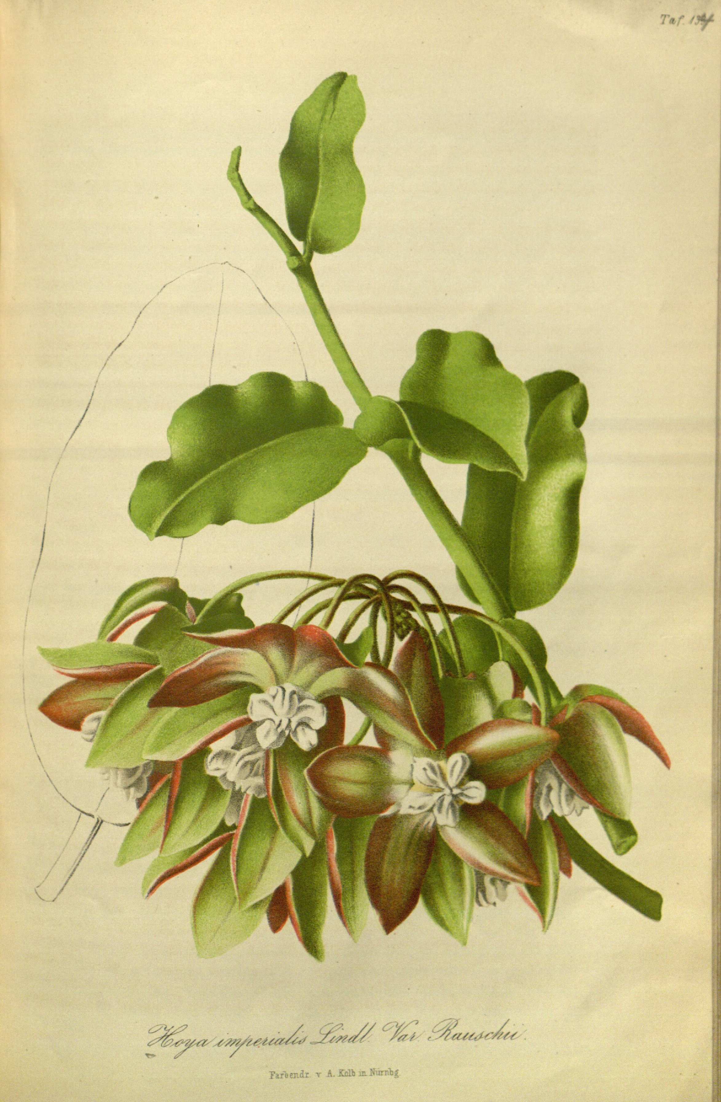 no full size  illustration available (3a)