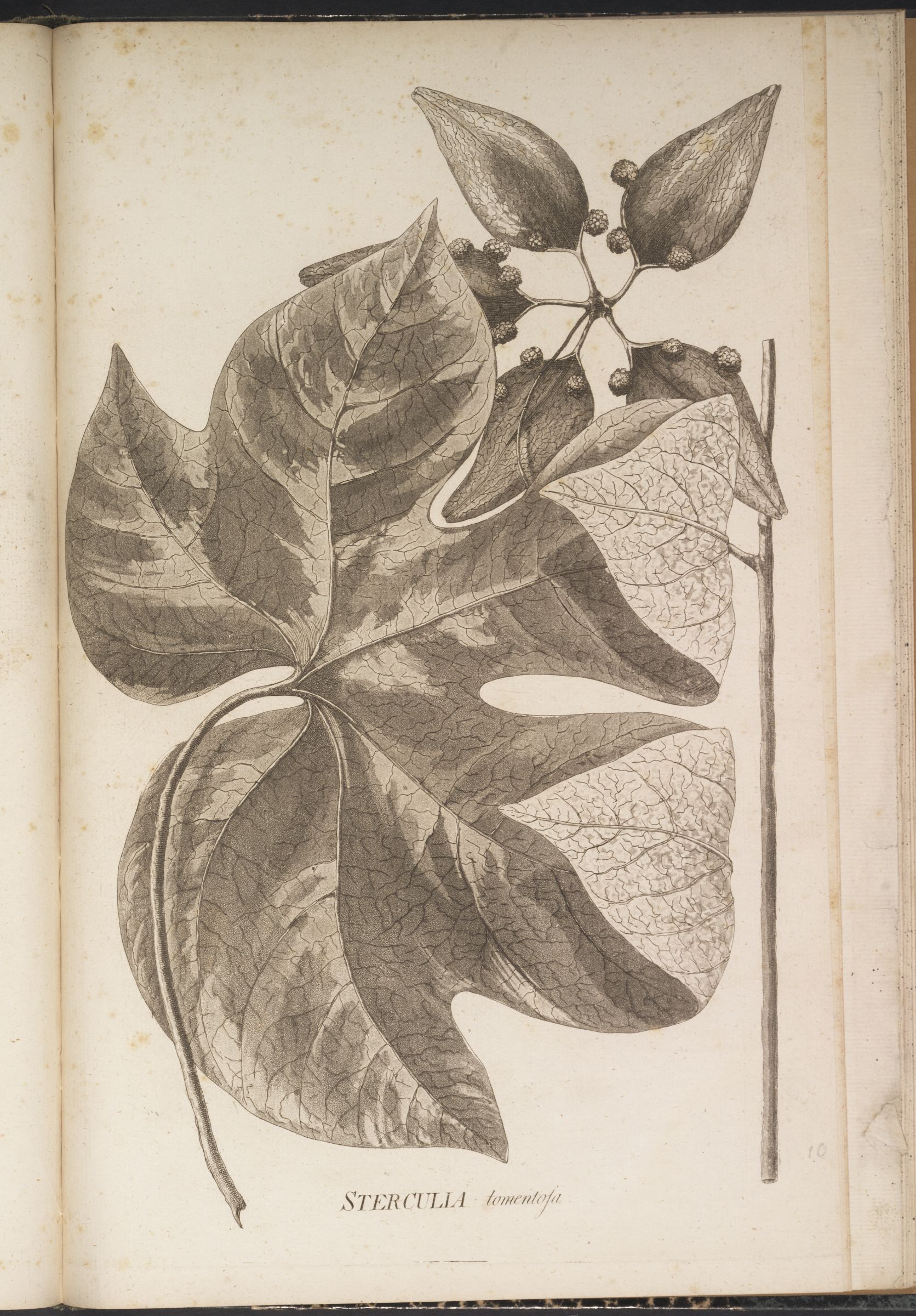 no full size  illustration available (3a)