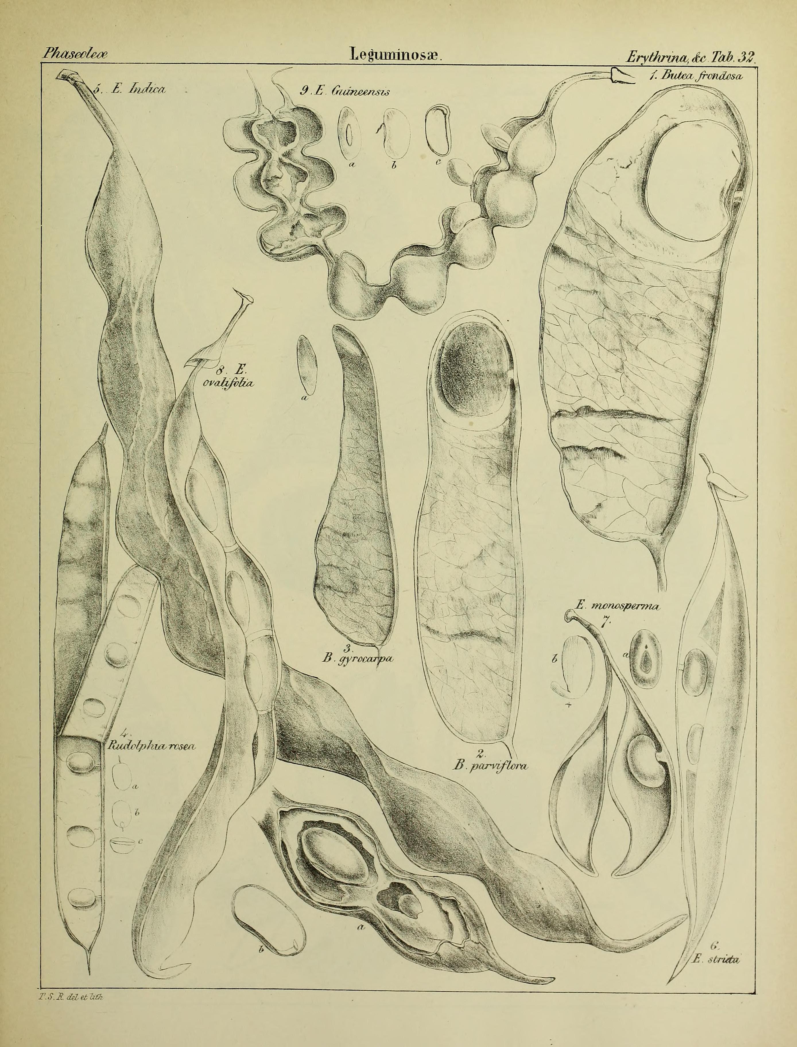 no full size  illustration available (3a)