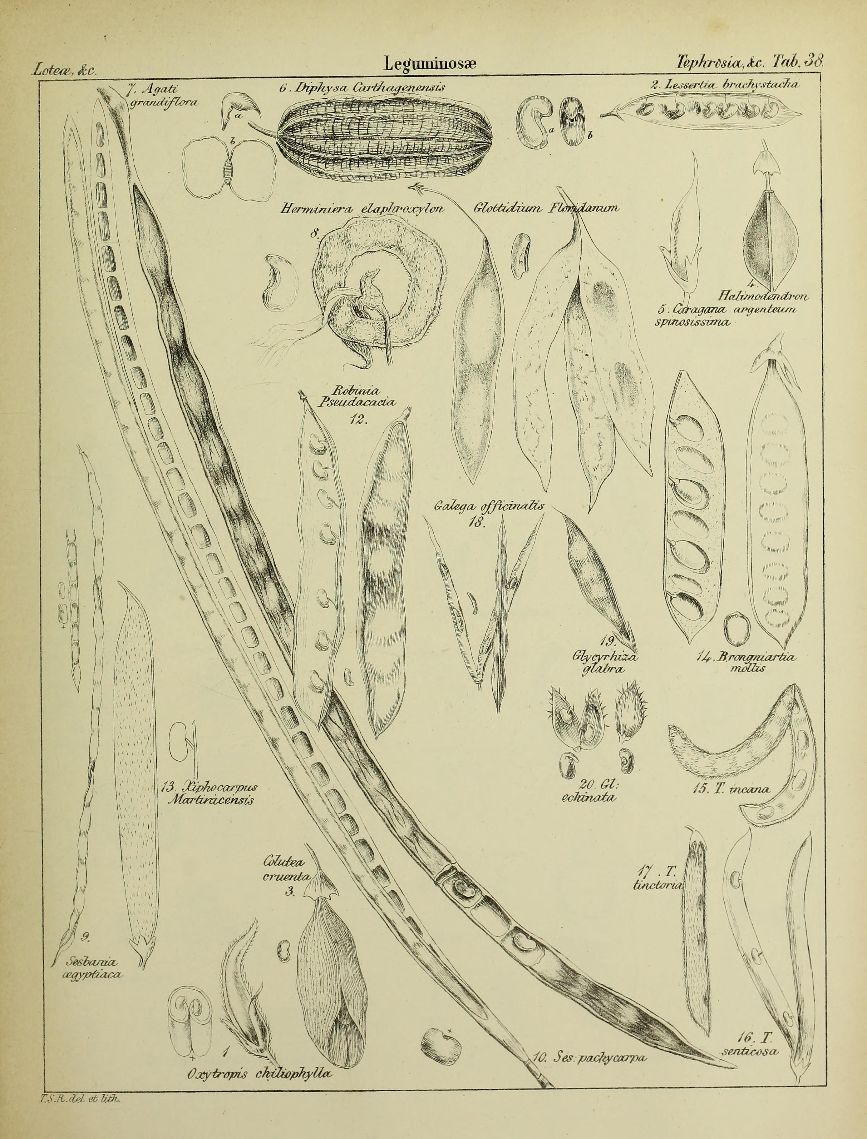 no full size  illustration available (3a)