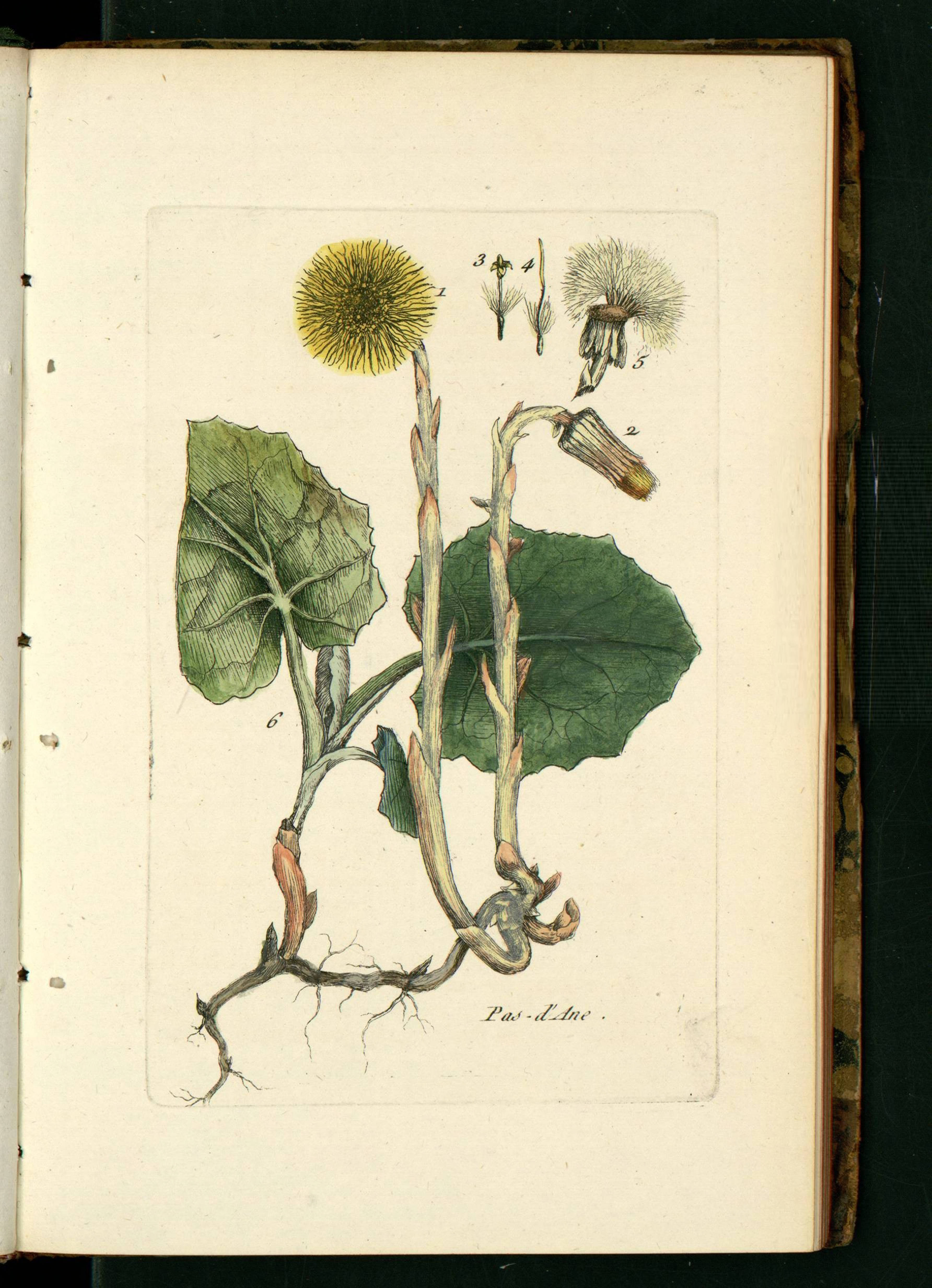 no full size  illustration available (3a)