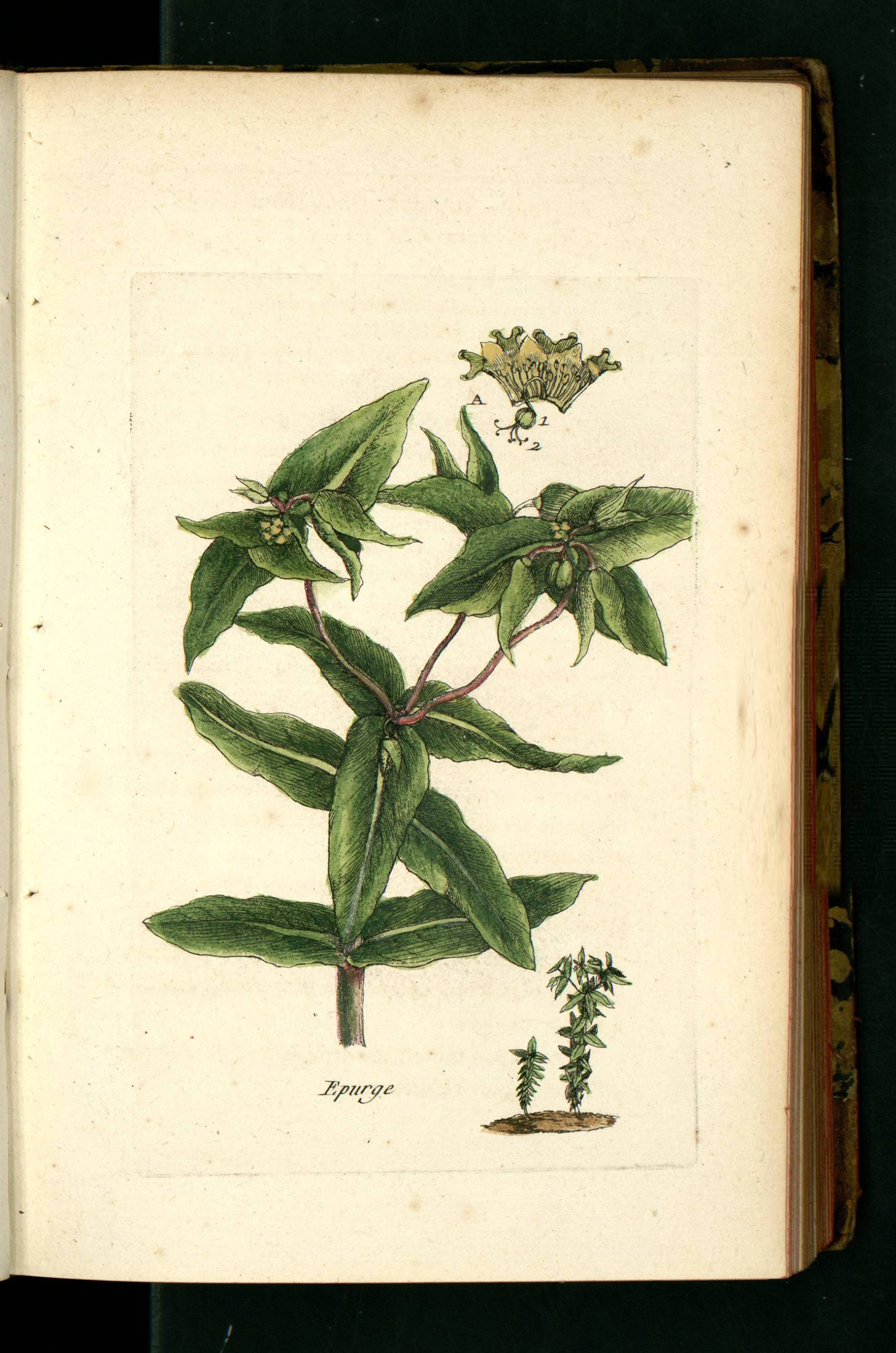 no full size  illustration available (3a)