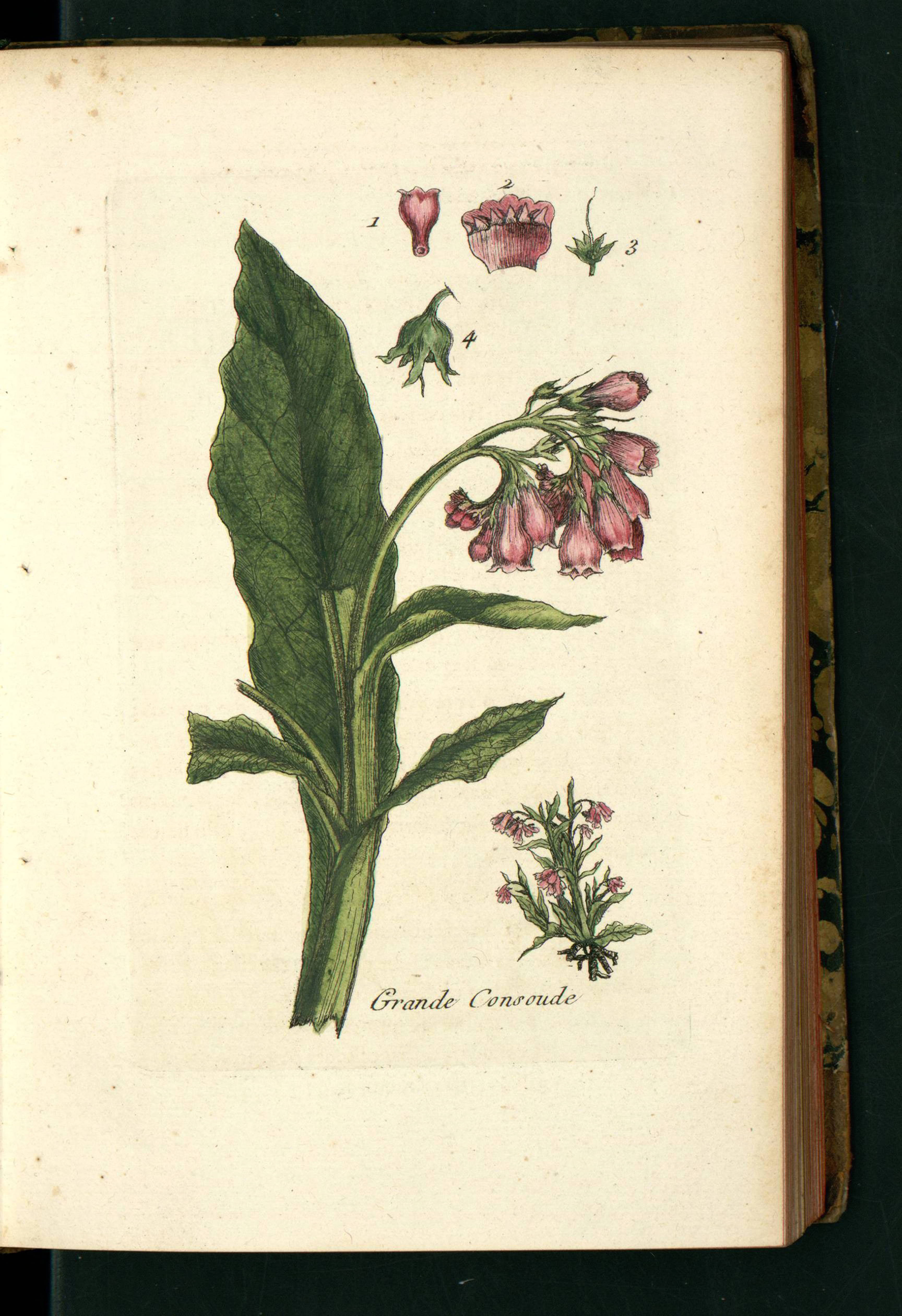 no full size  illustration available (3a)