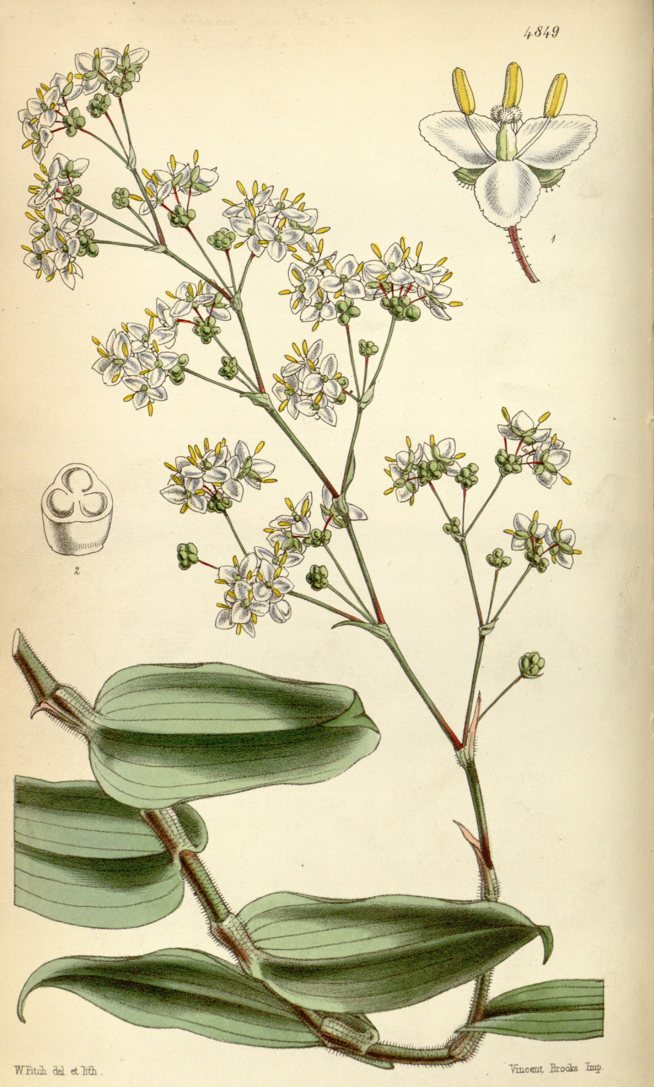 no full size  illustration available (3a)