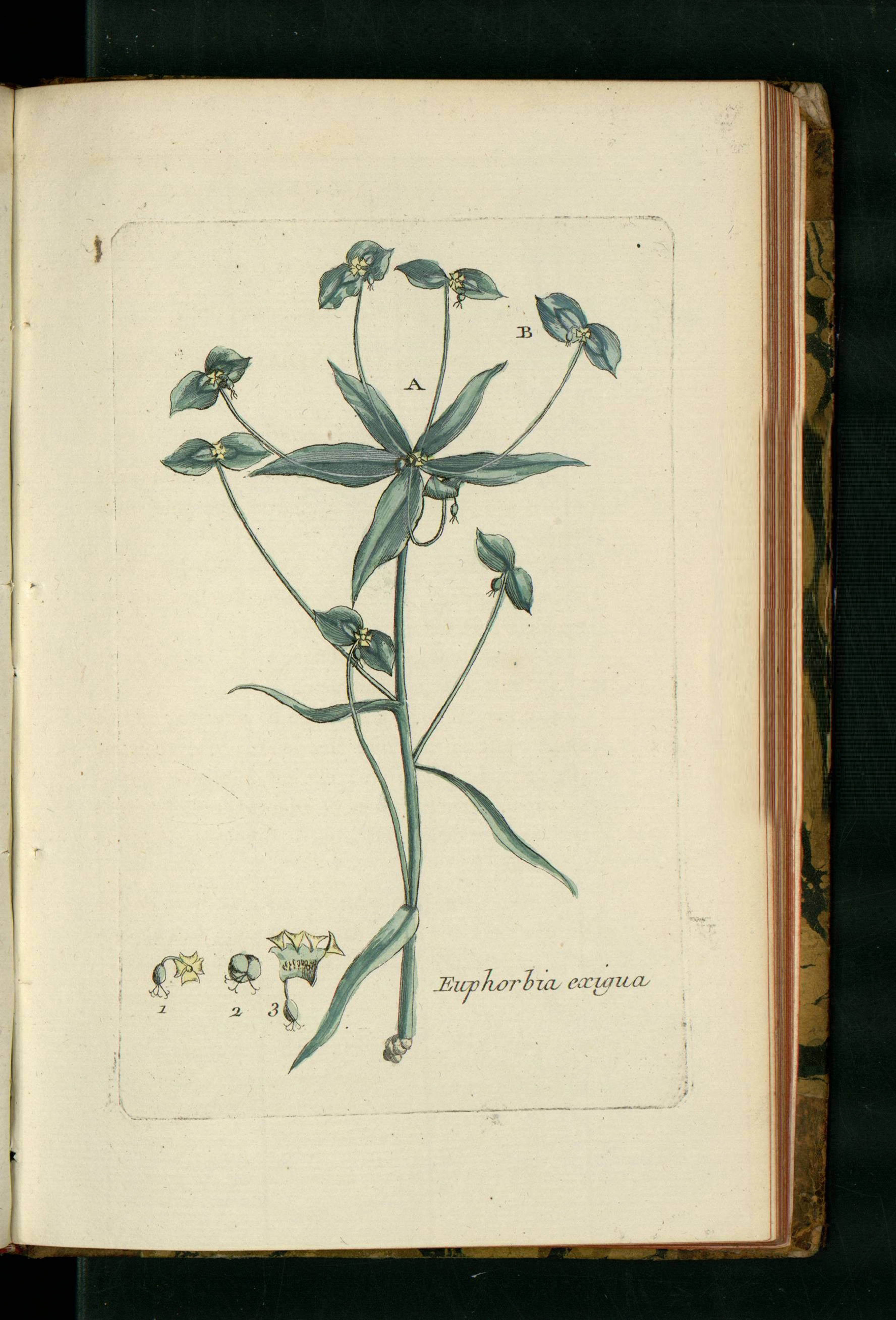 no full size  illustration available (3a)