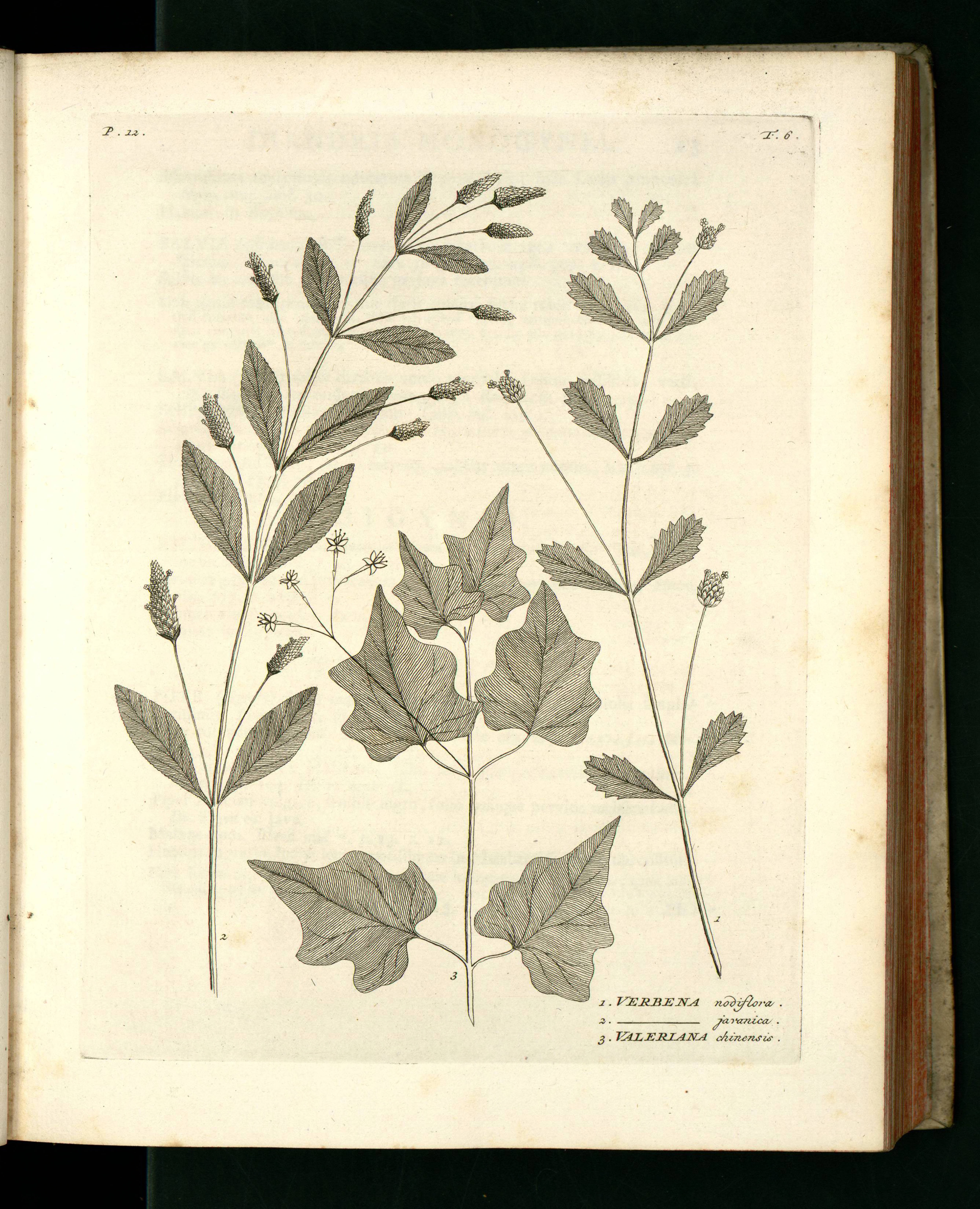 no full size  illustration available (3a)