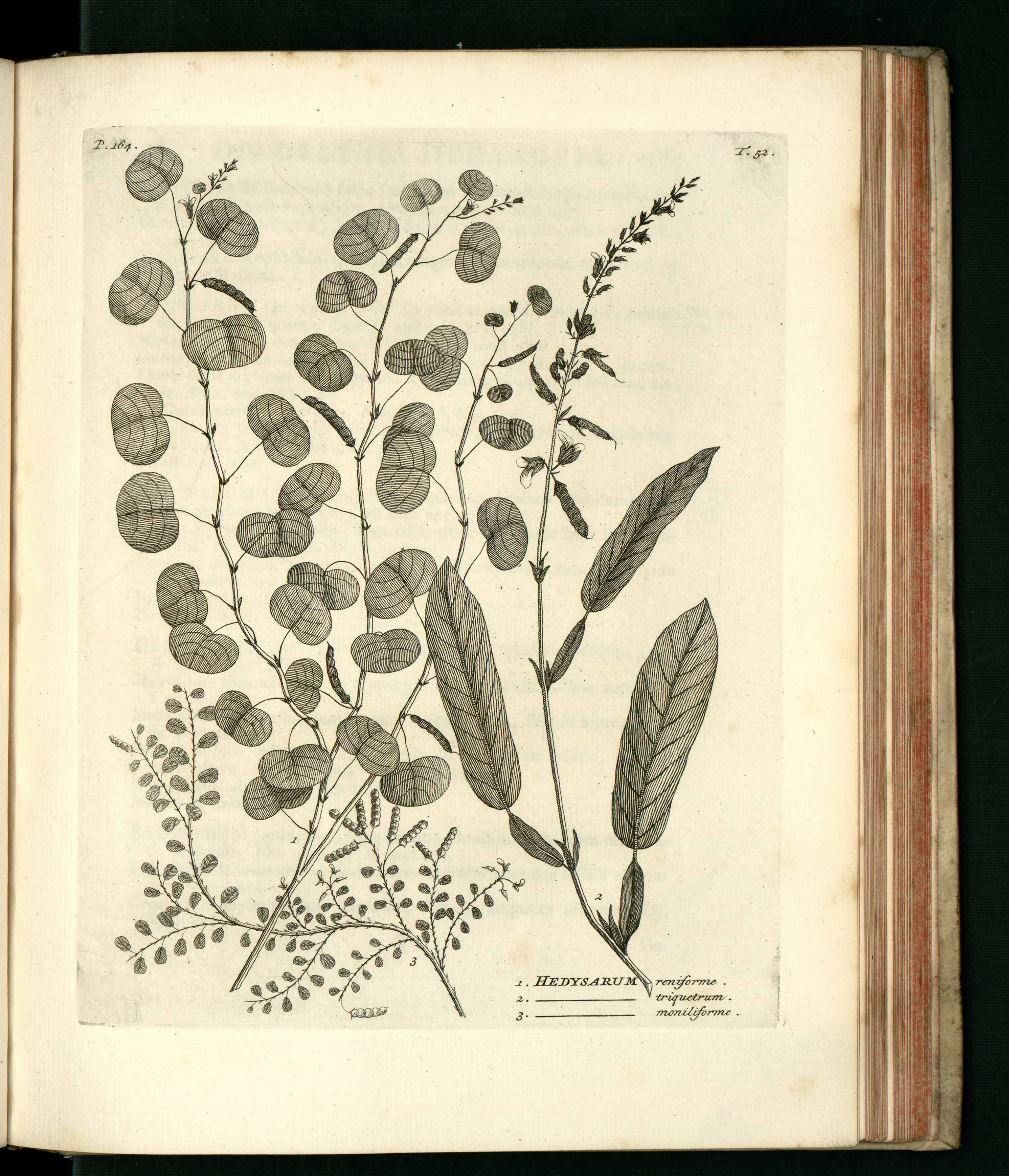 no full size  illustration available (3a)