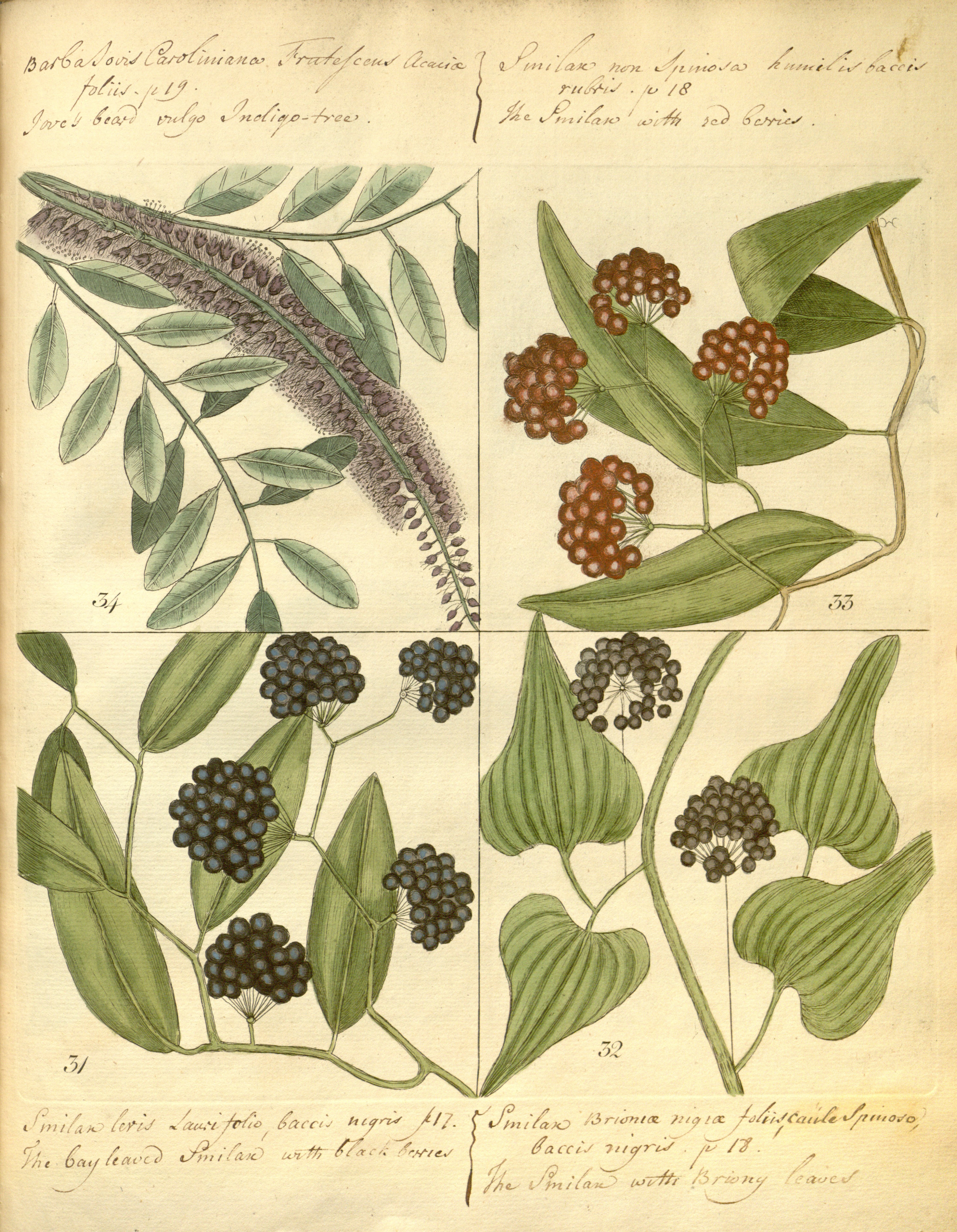 no full size  illustration available (3a)