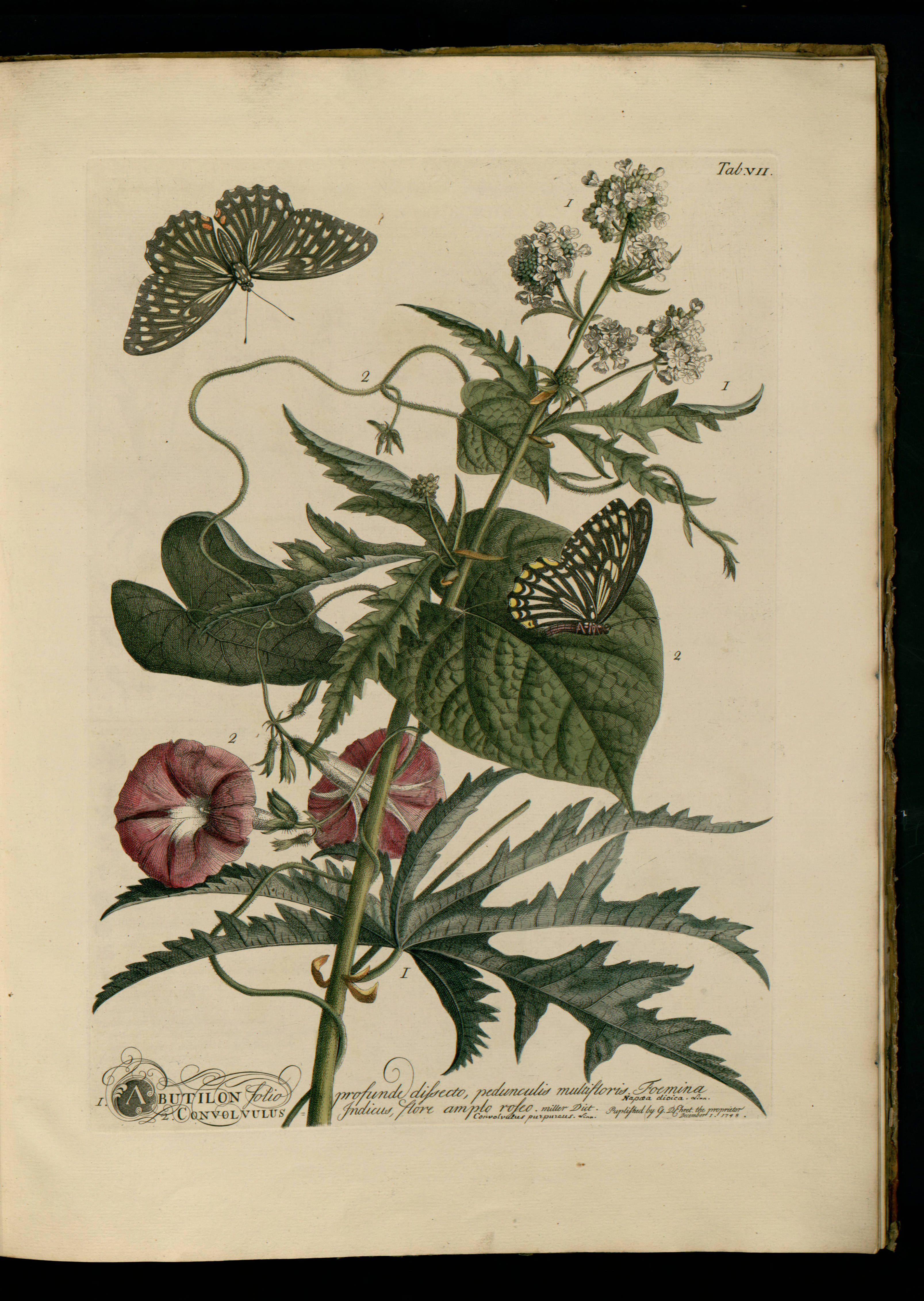 no full size  illustration available (3a)