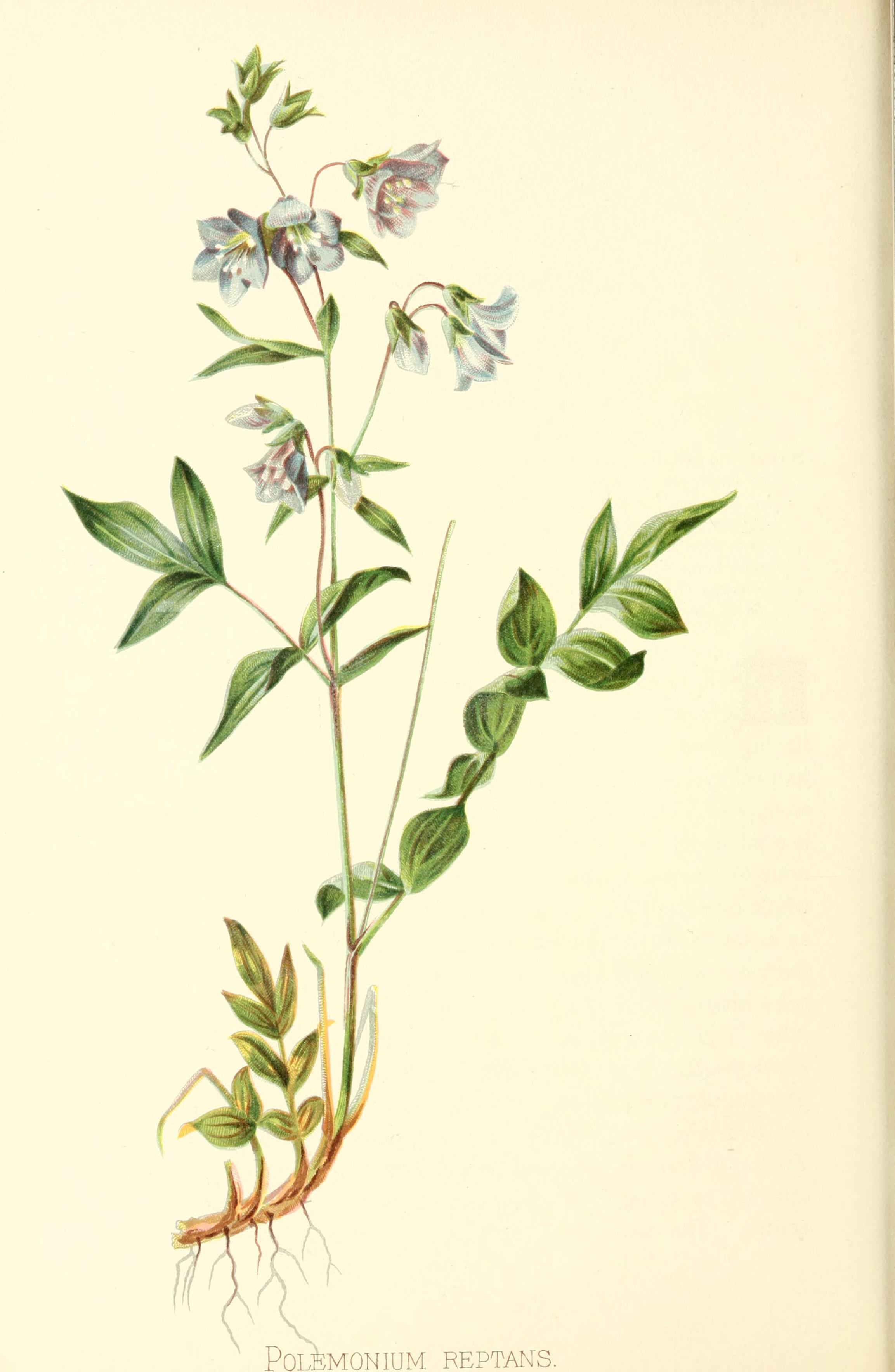 no full size  illustration available (3a)