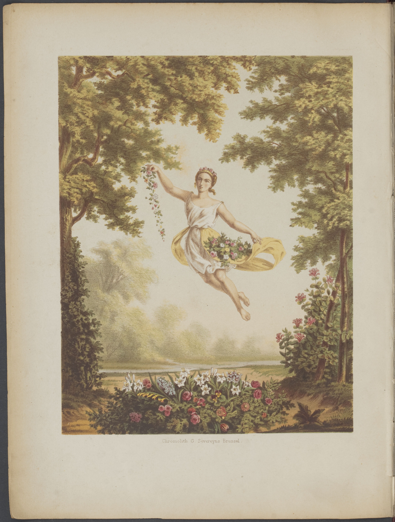 no full size  illustration available (3a)