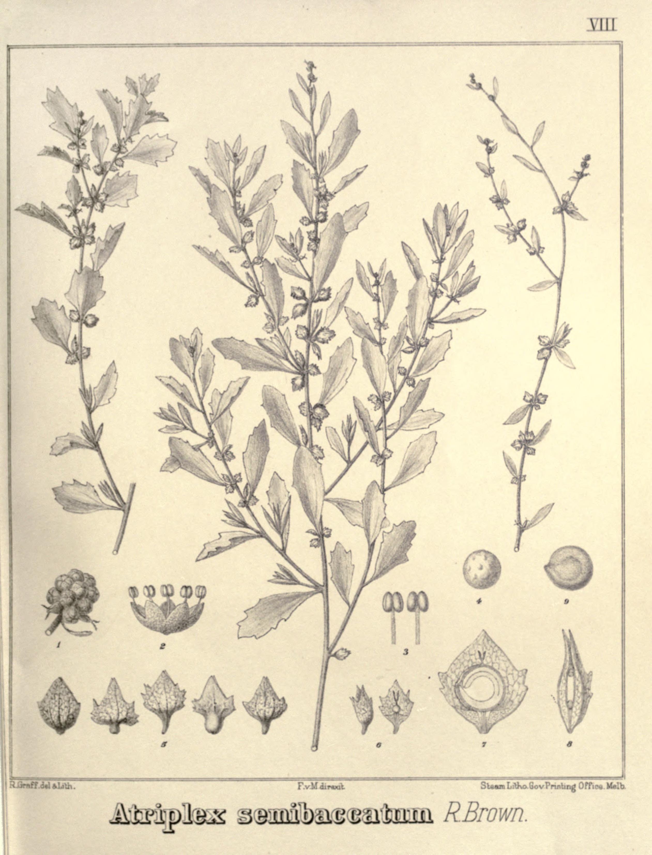 no full size  illustration available (3a)