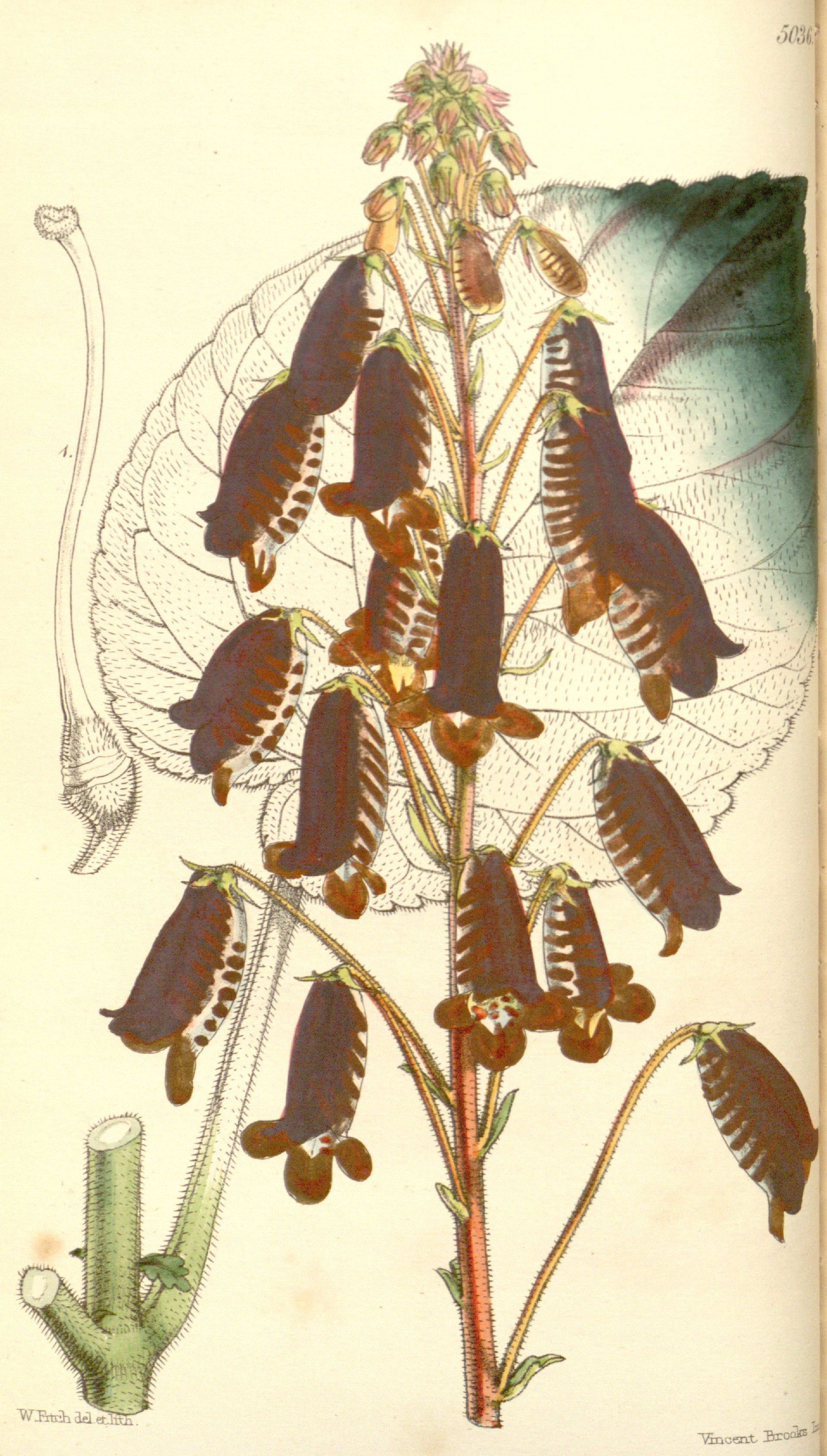 no full size  illustration available (3a)