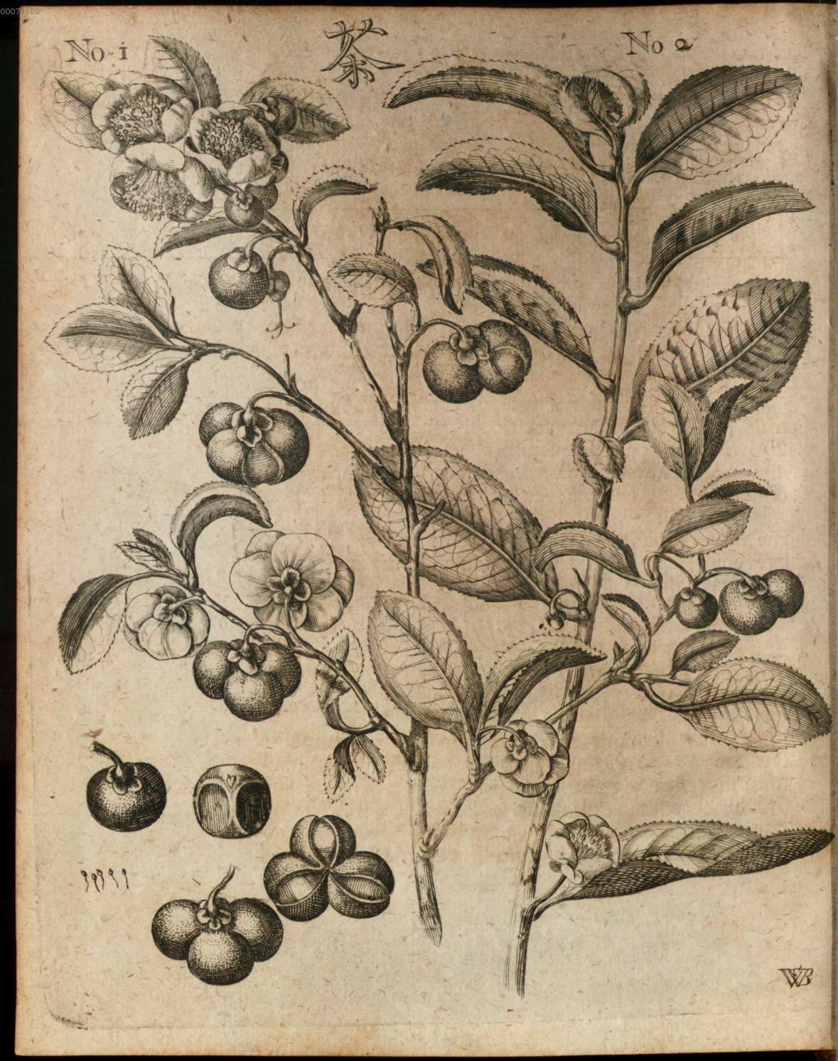 no full size  illustration available (3a)