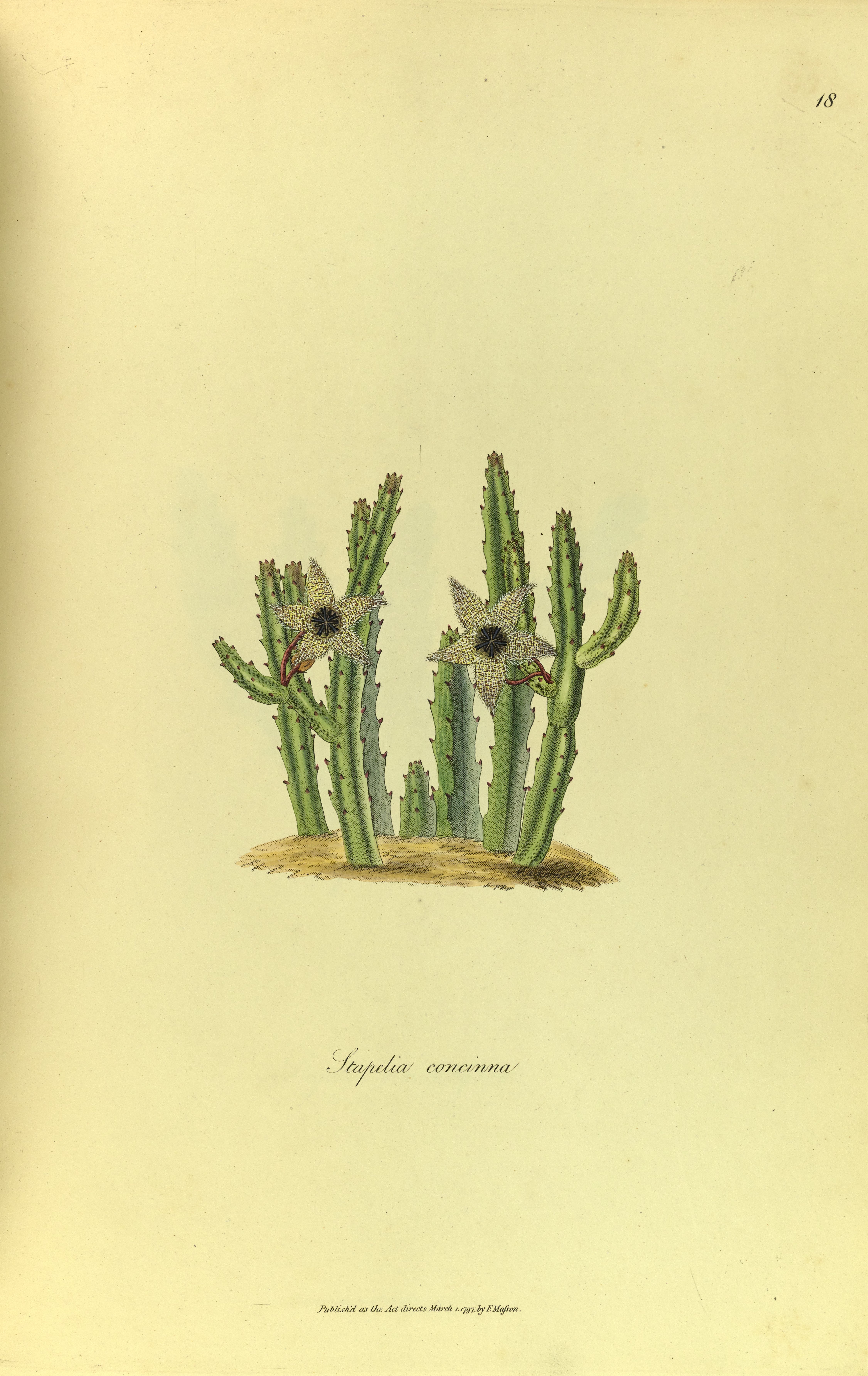 no full size  illustration available (3a)