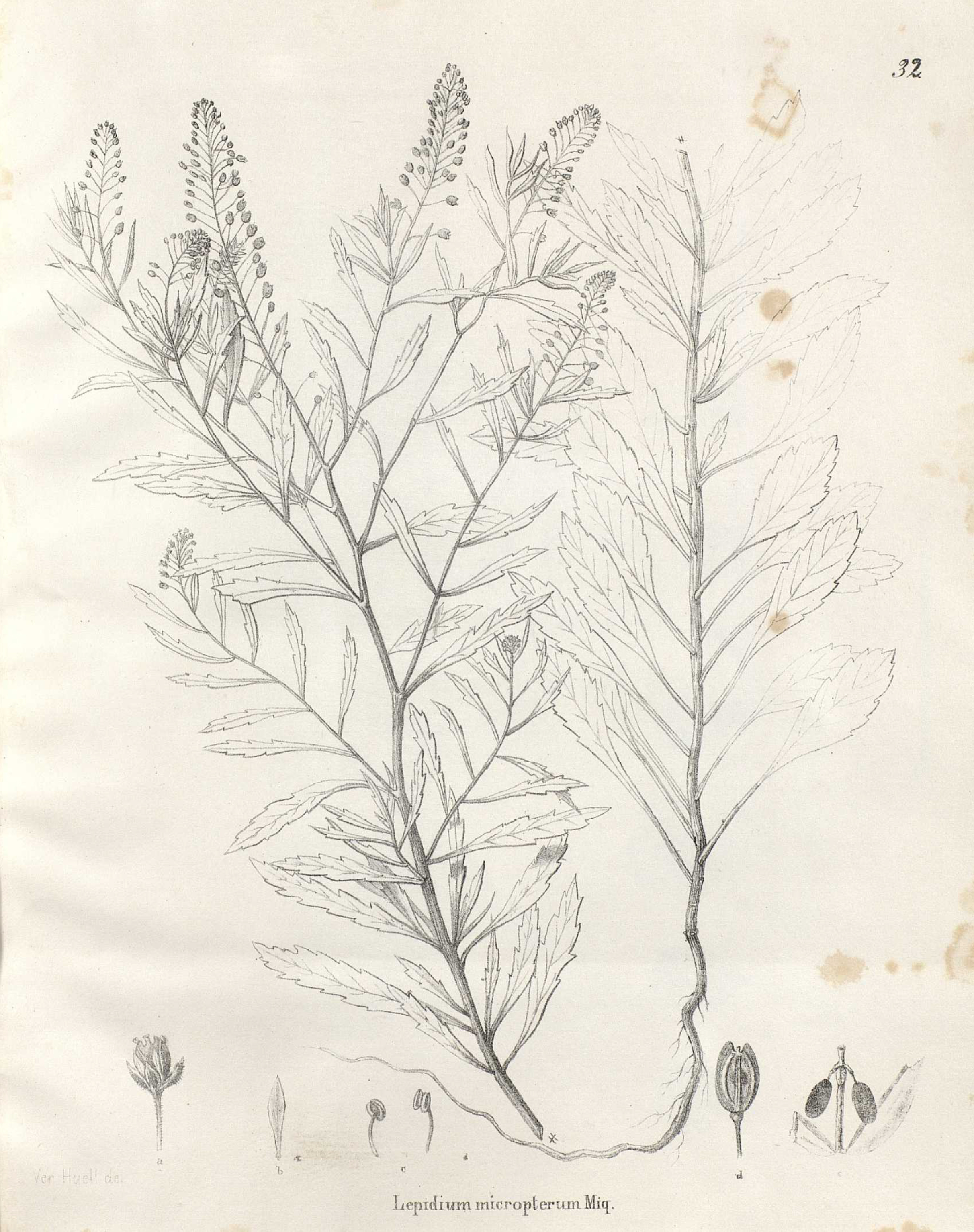 no full size  illustration available (3a)