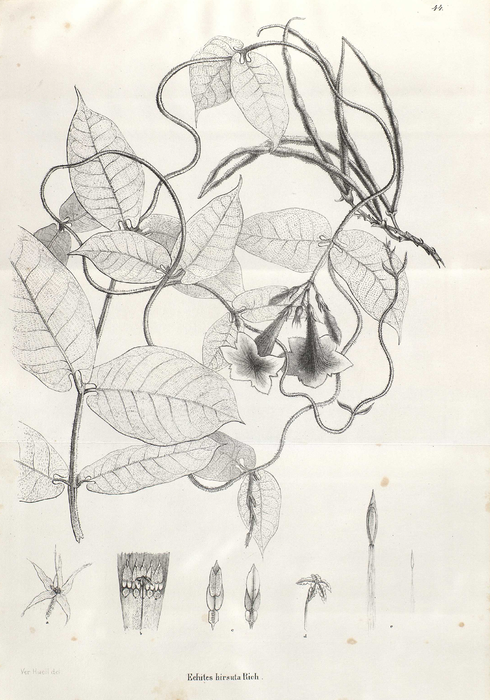 no full size  illustration available (3a)