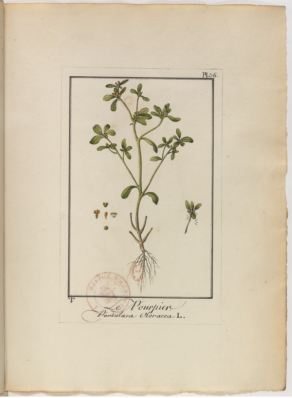 no full size  illustration available (3a)