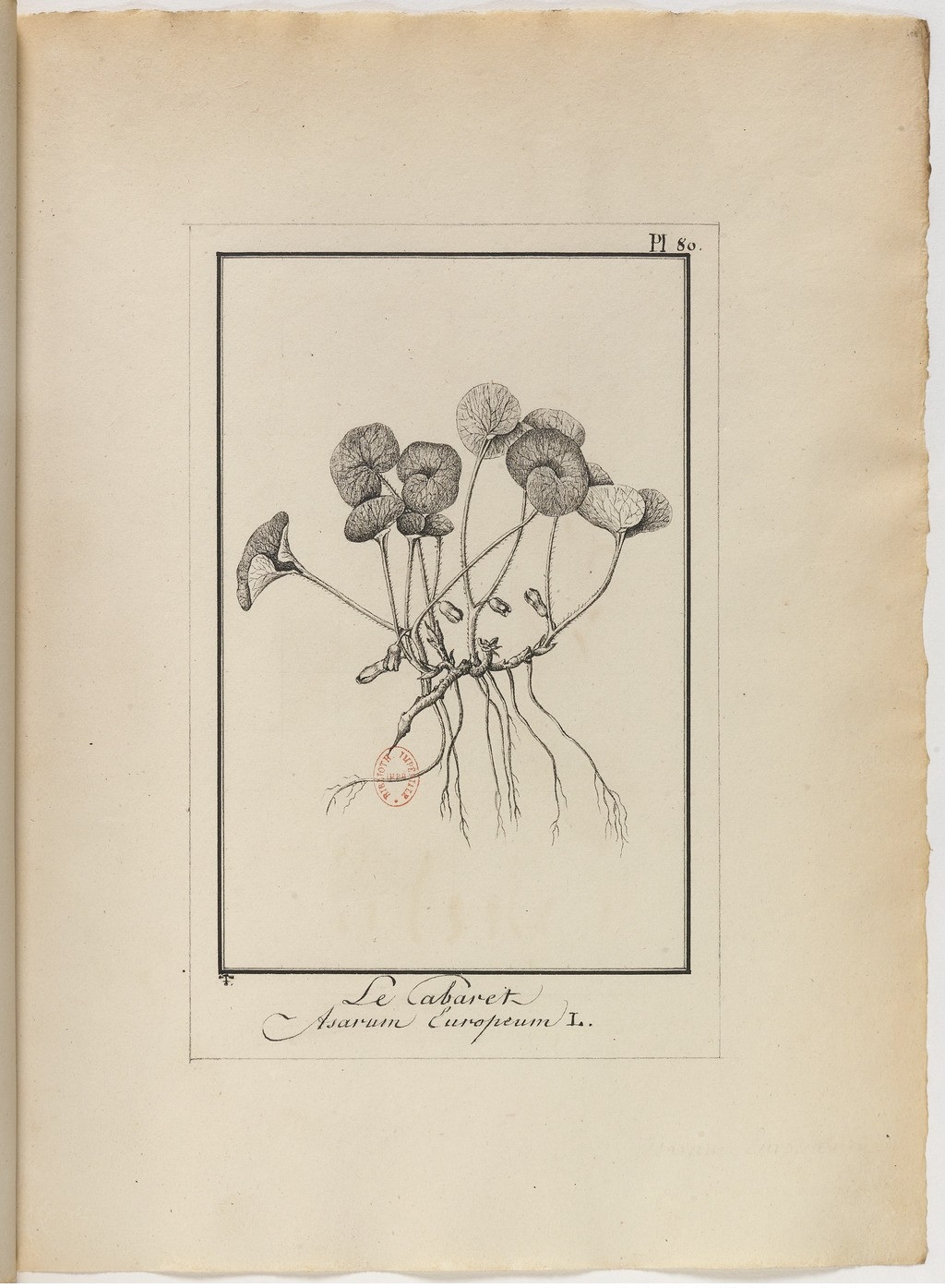 no full size  illustration available (3a)