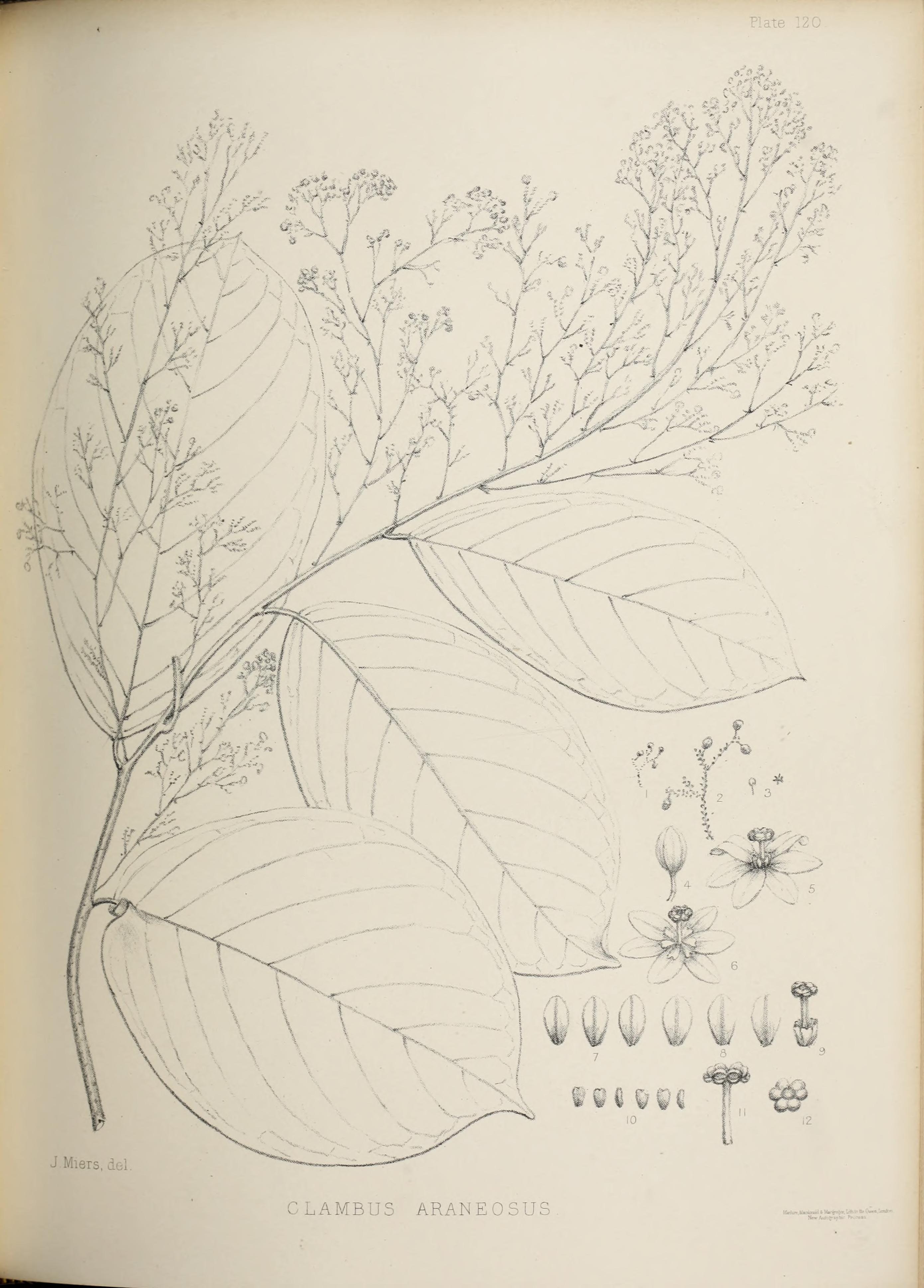 no full size  illustration available (3a)