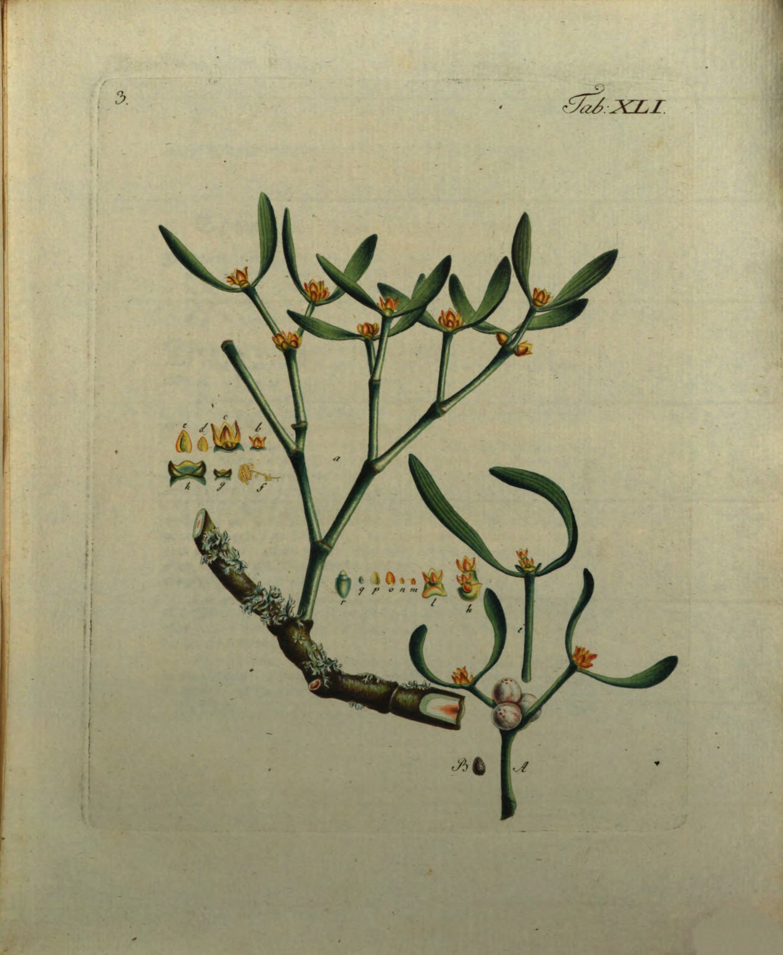 no full size  illustration available (3a)