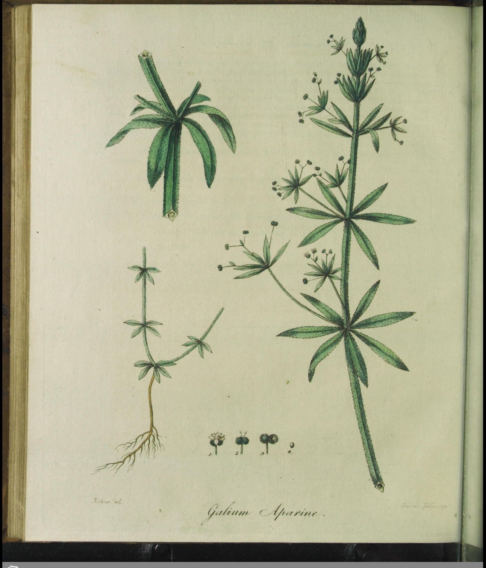 no full size  illustration available (3a)