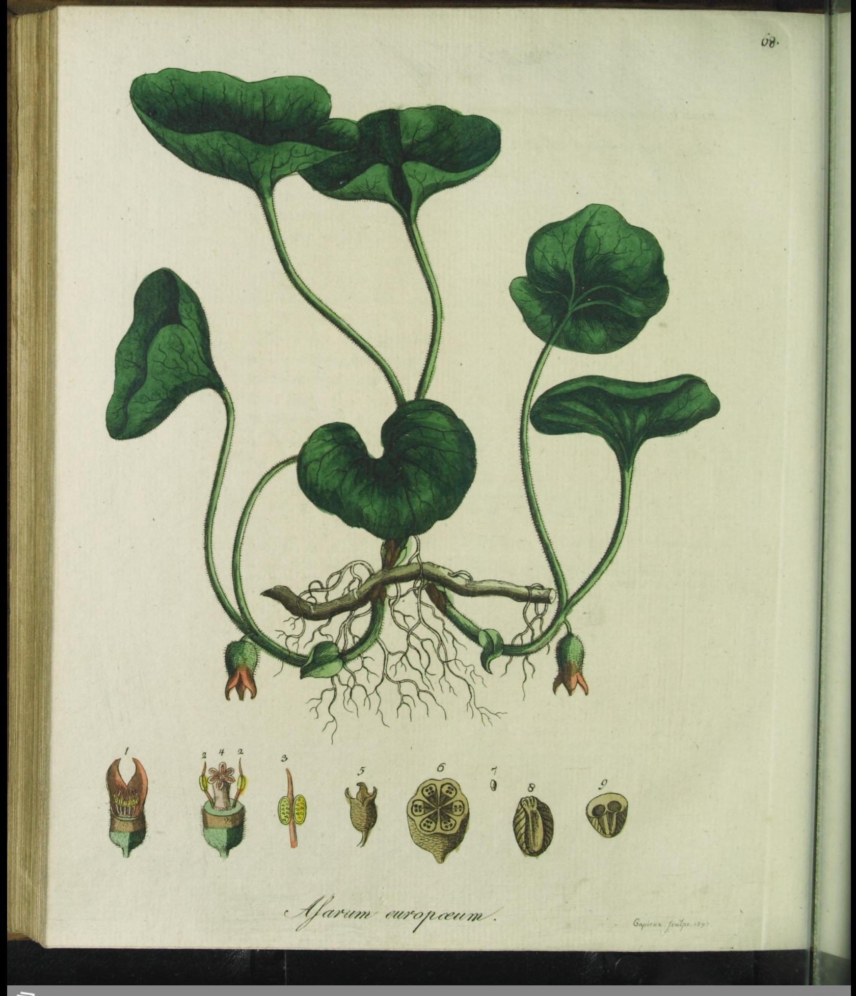 no full size  illustration available (3a)