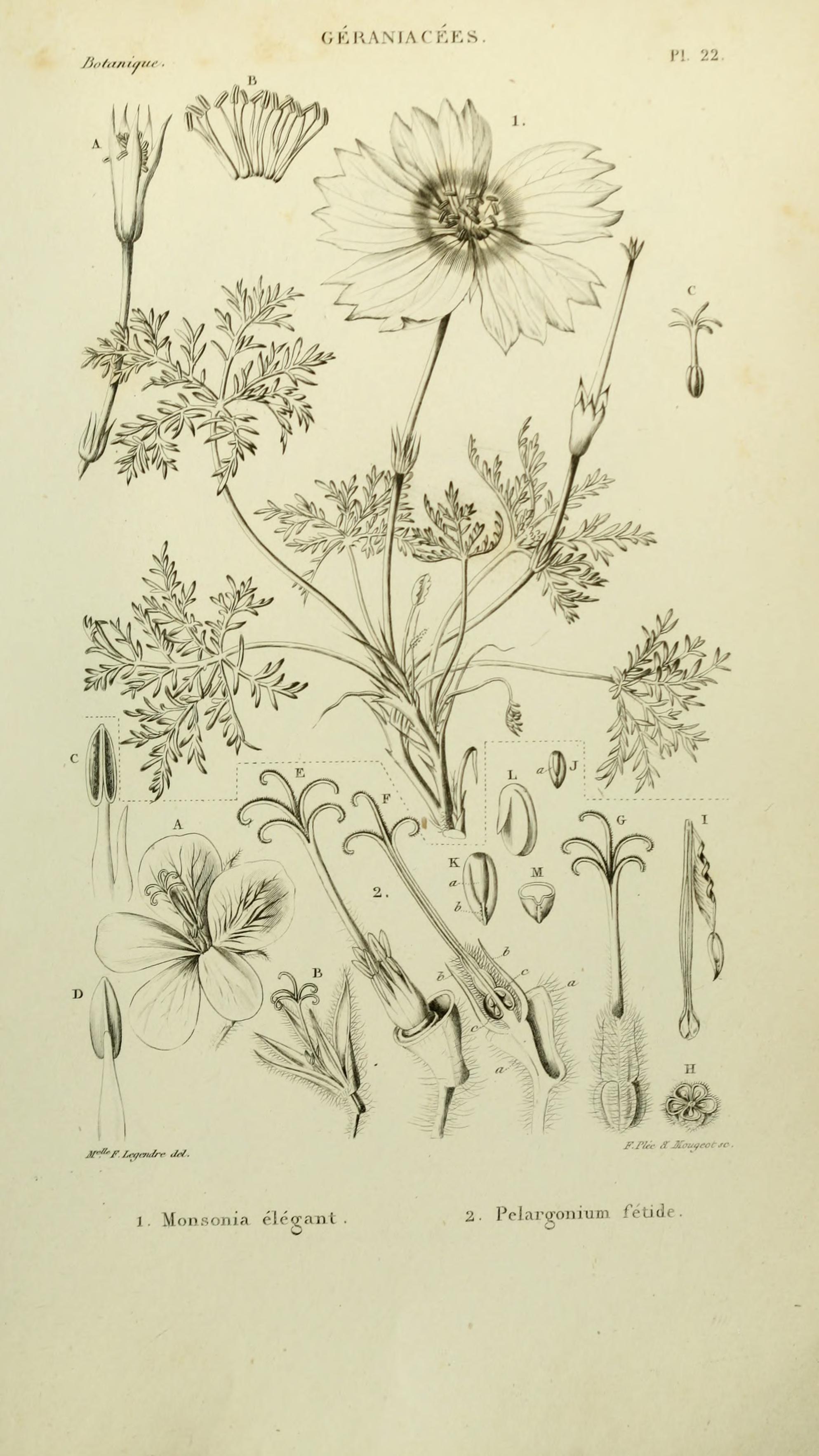 no full size  illustration available (3a)