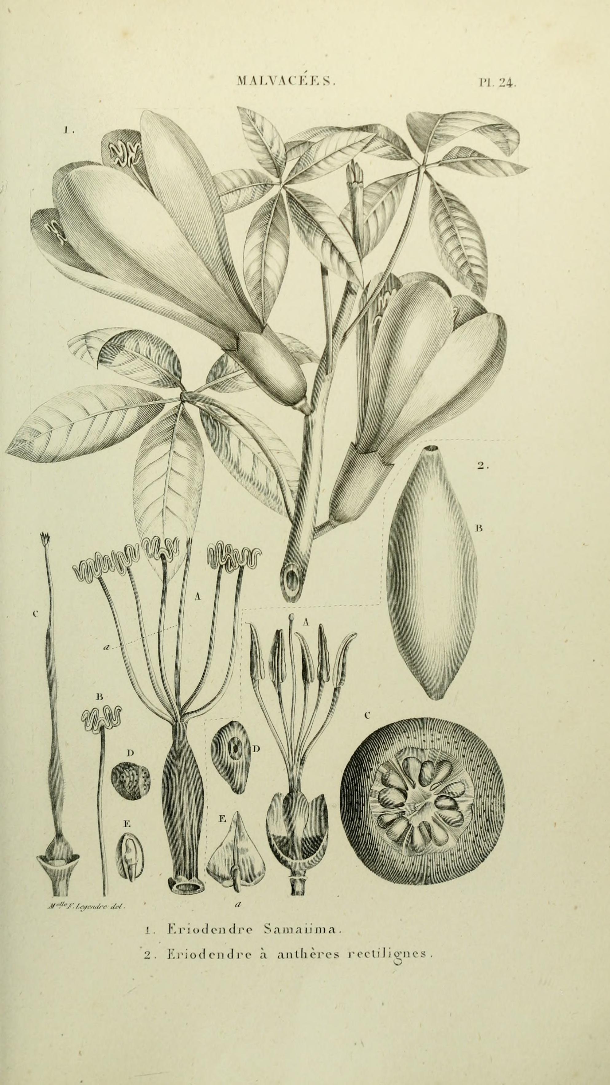 no full size  illustration available (3a)